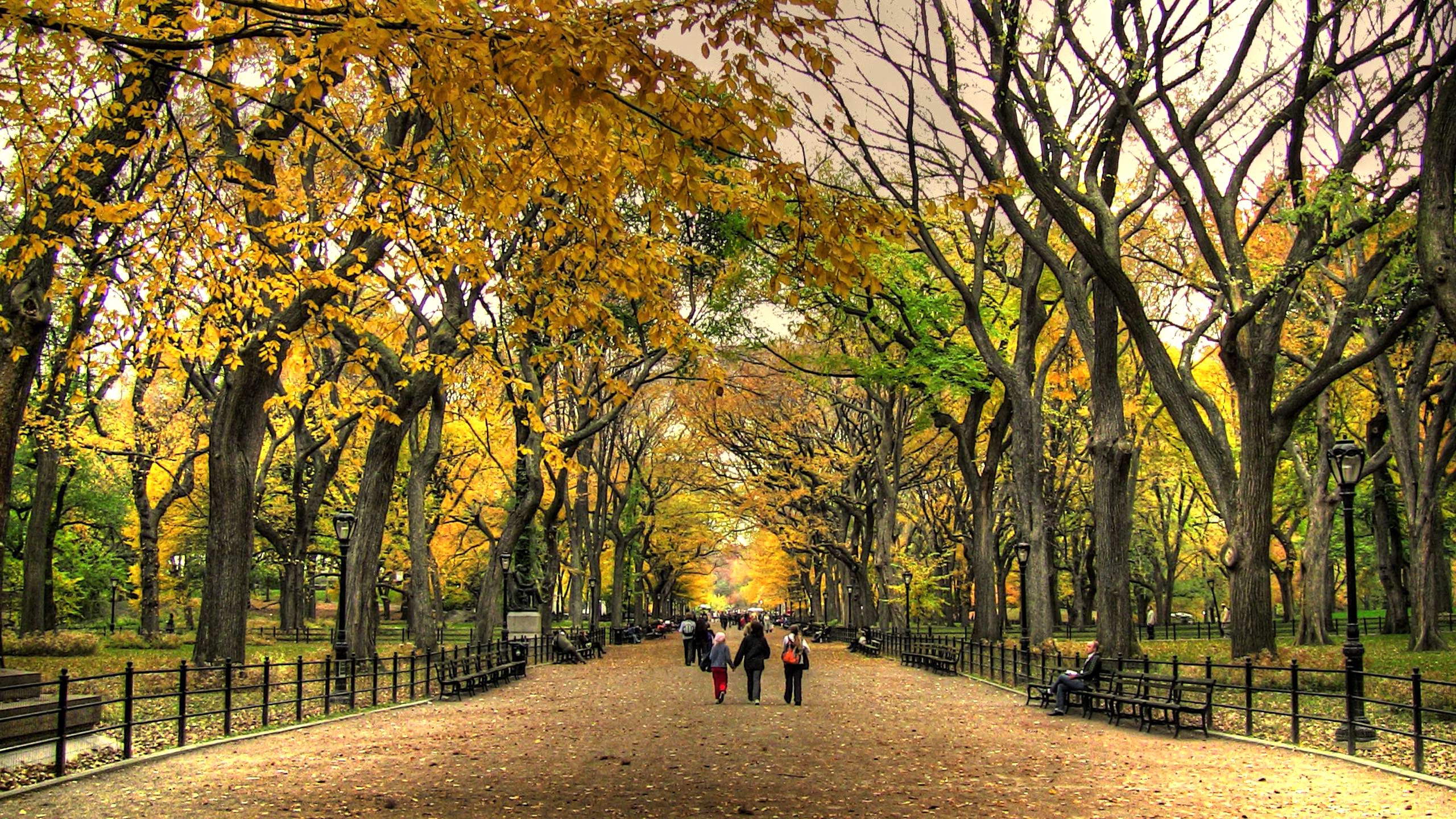 Related Wallpaper For Hd Wallpaper Park - Central Park Cool , HD Wallpaper & Backgrounds