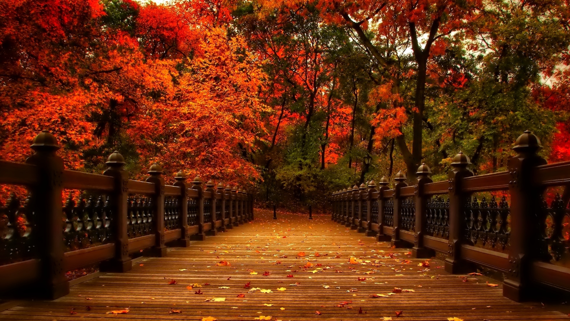Set - Autumn Bridge , HD Wallpaper & Backgrounds
