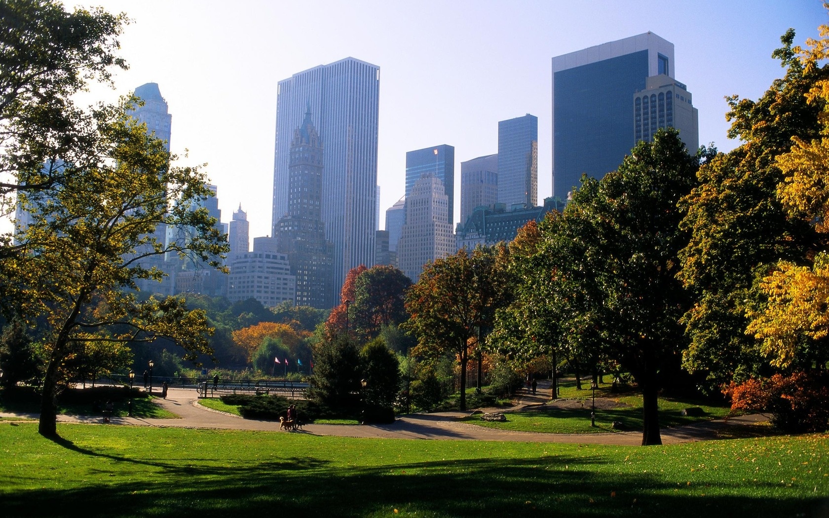 Central Park Hd , HD Wallpaper & Backgrounds