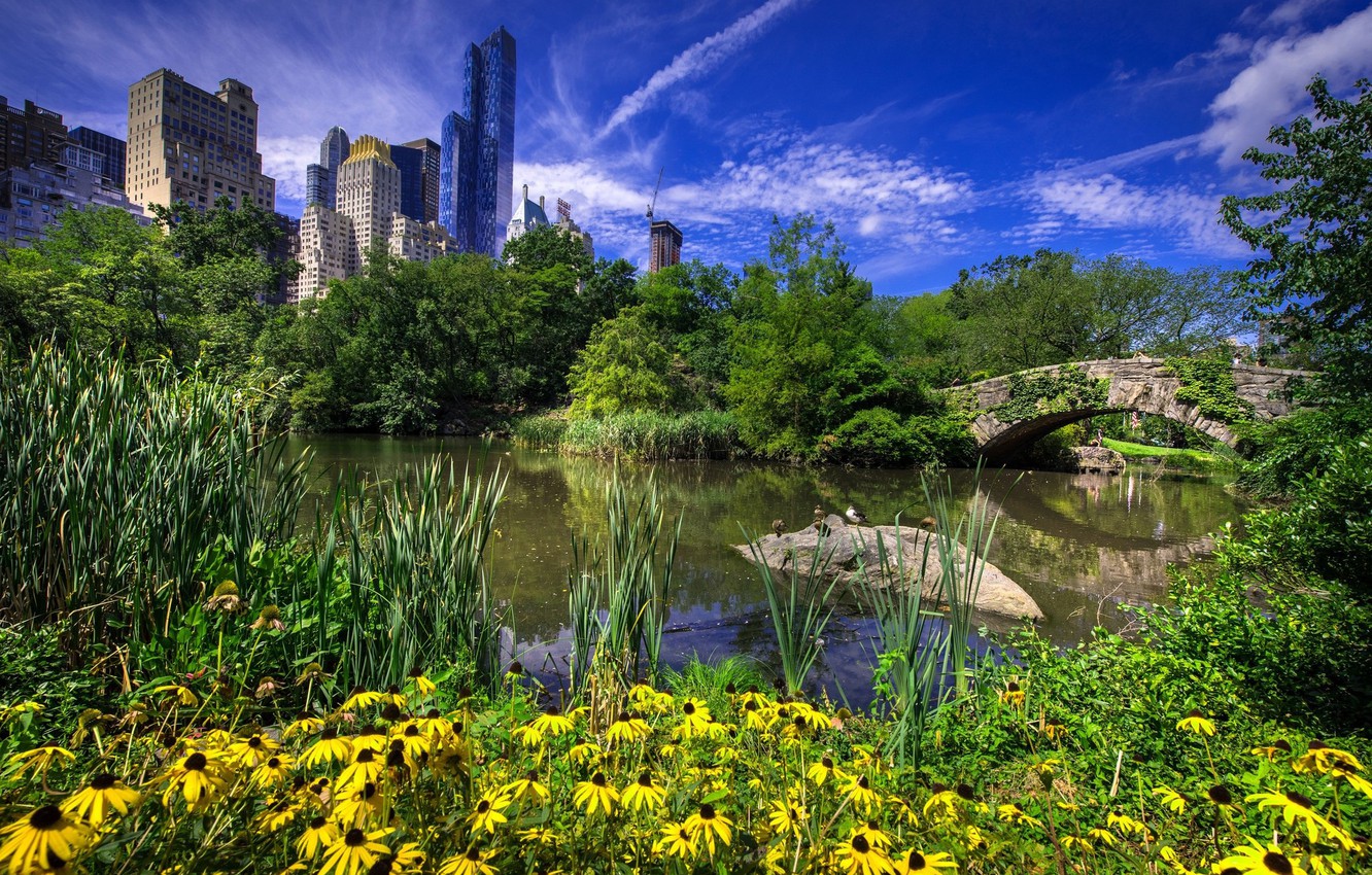 Photo Wallpaper New York City, Gapstow Bridge In Central - Pond , HD Wallpaper & Backgrounds