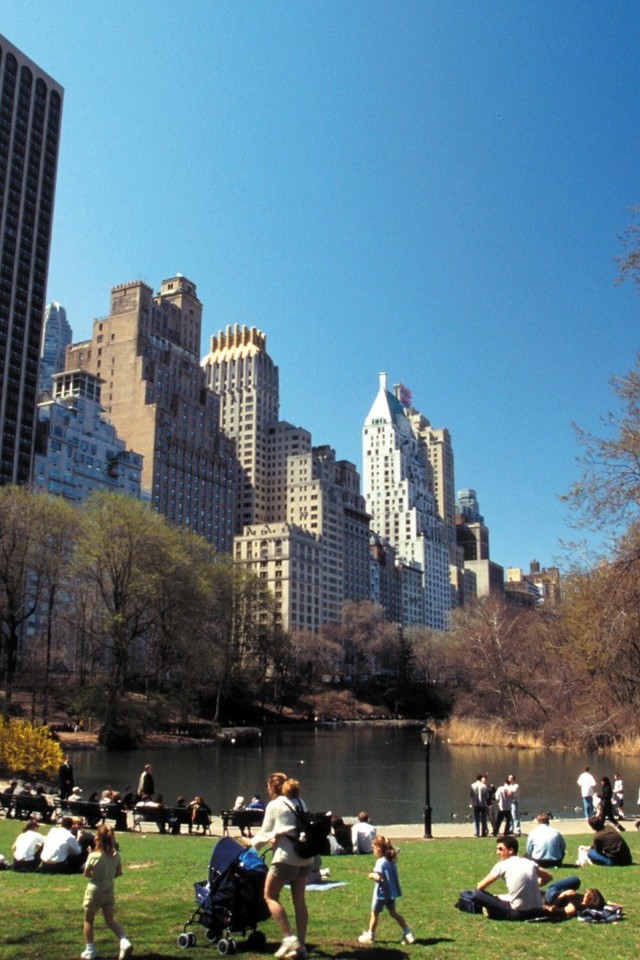 Wallpaper Resolutions - Central Park New York Centre , HD Wallpaper & Backgrounds