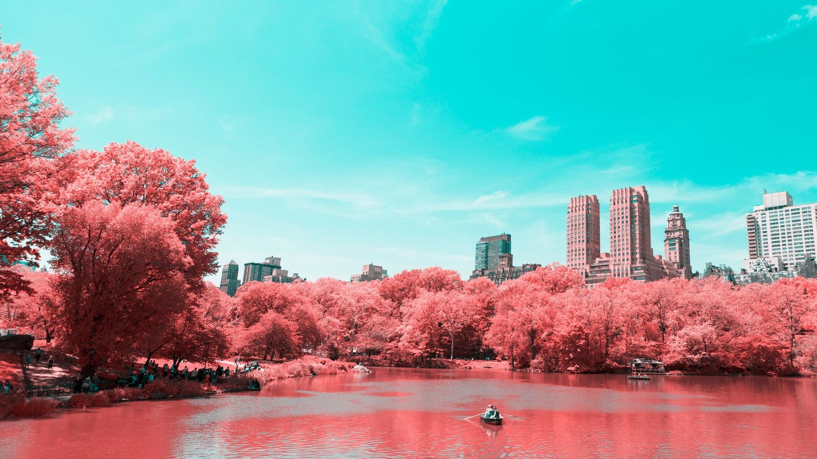 Central Park , HD Wallpaper & Backgrounds