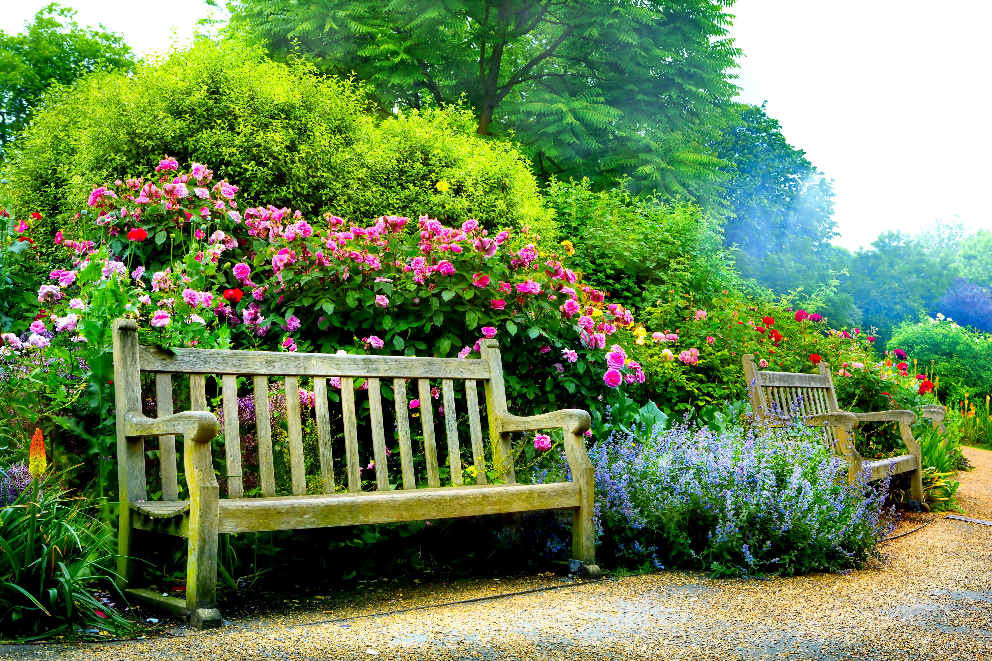 Benches In Spring Park - World Top Beautiful Flowers , HD Wallpaper & Backgrounds