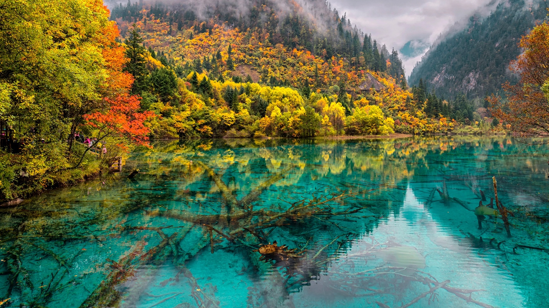 Crystal Lake China Jiuzhaigou National Park Hd Wallpaper - Jiuzhaigou Valley , HD Wallpaper & Backgrounds