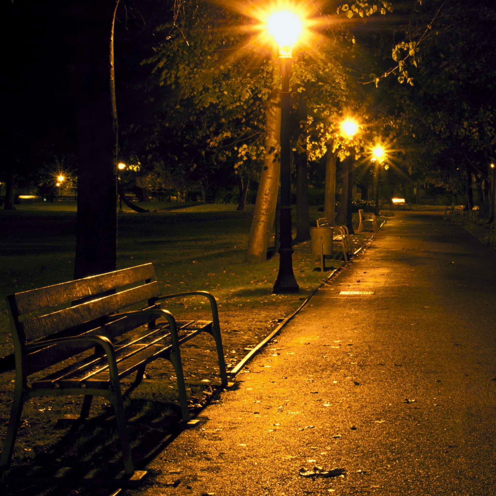 Night Park Bench , HD Wallpaper & Backgrounds