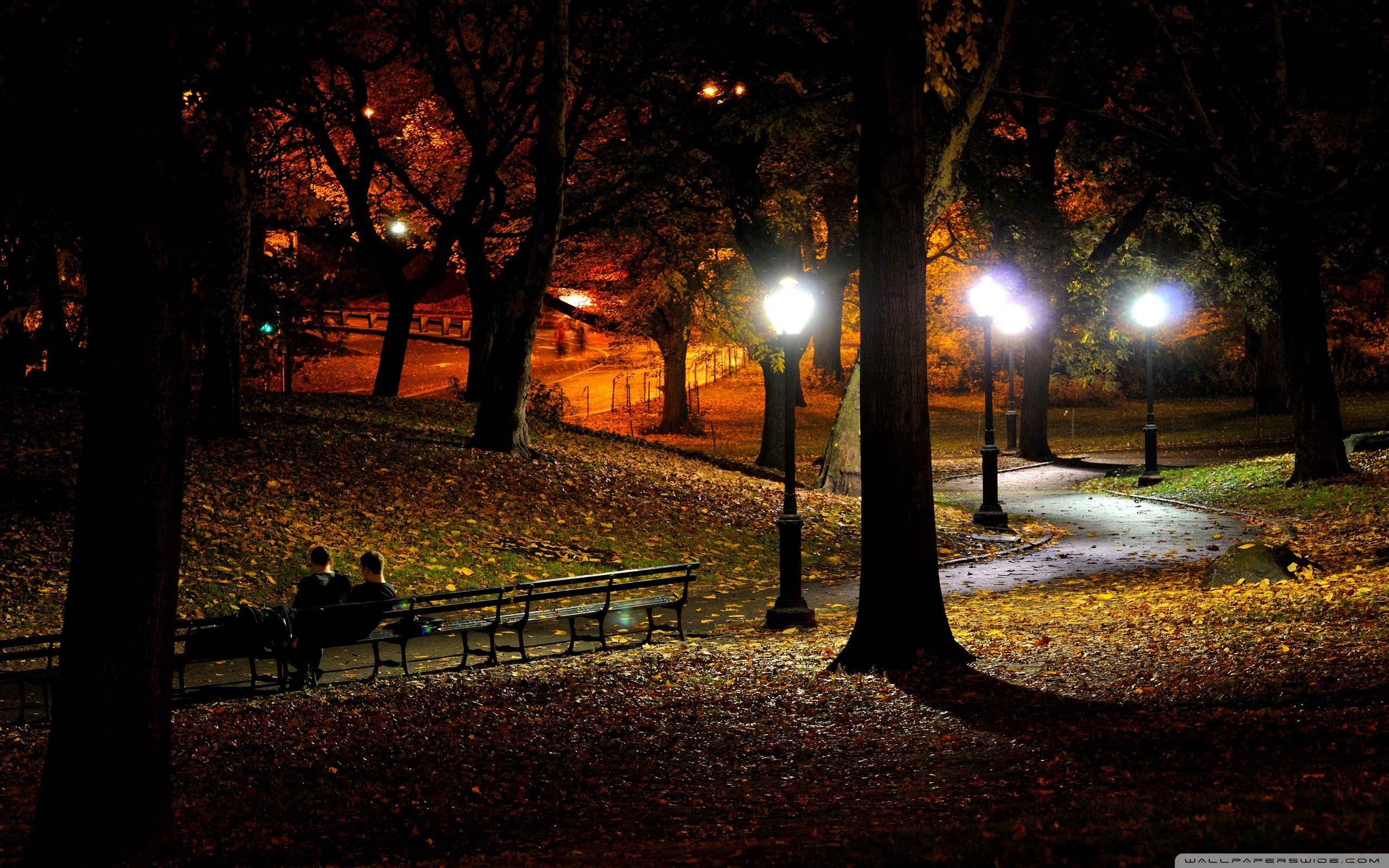 City Park At Night - Central Park New York Night , HD Wallpaper & Backgrounds