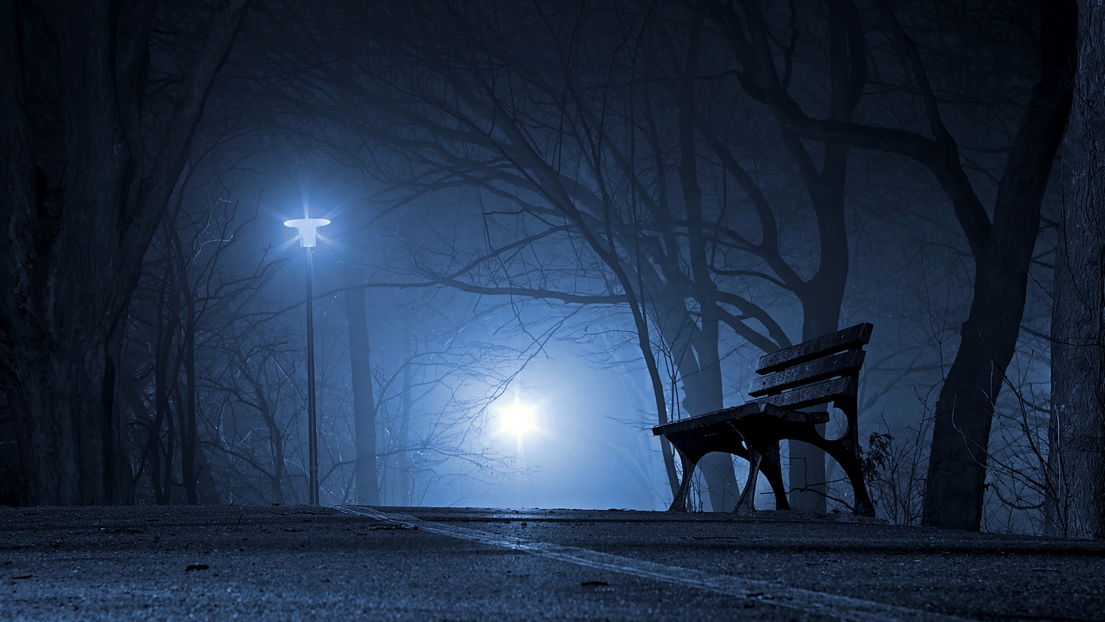 Night Park Hd Wallpaper Backgrounds Download Night Park Hd Wallpaper Backgrounds Download