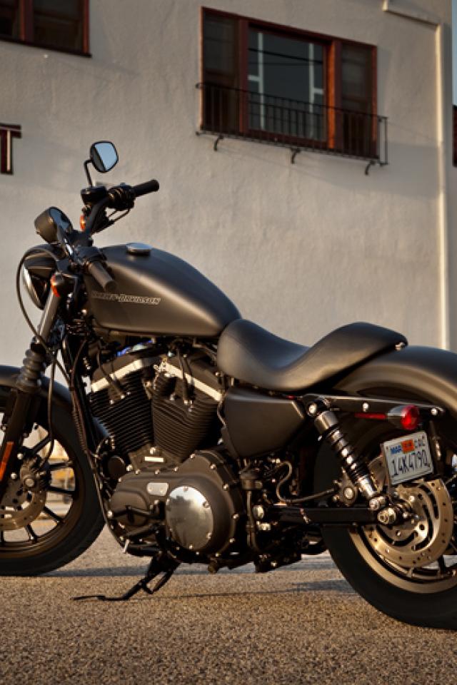 Download Wallpaper Iron - Harley Davidson Iron 883 , HD Wallpaper & Backgrounds