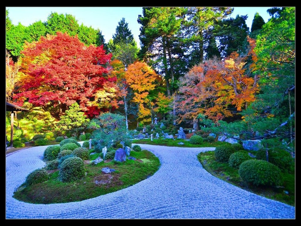 Trees Park Grass Leaves Rocks Colored Nature Green - Botanical Garden , HD Wallpaper & Backgrounds