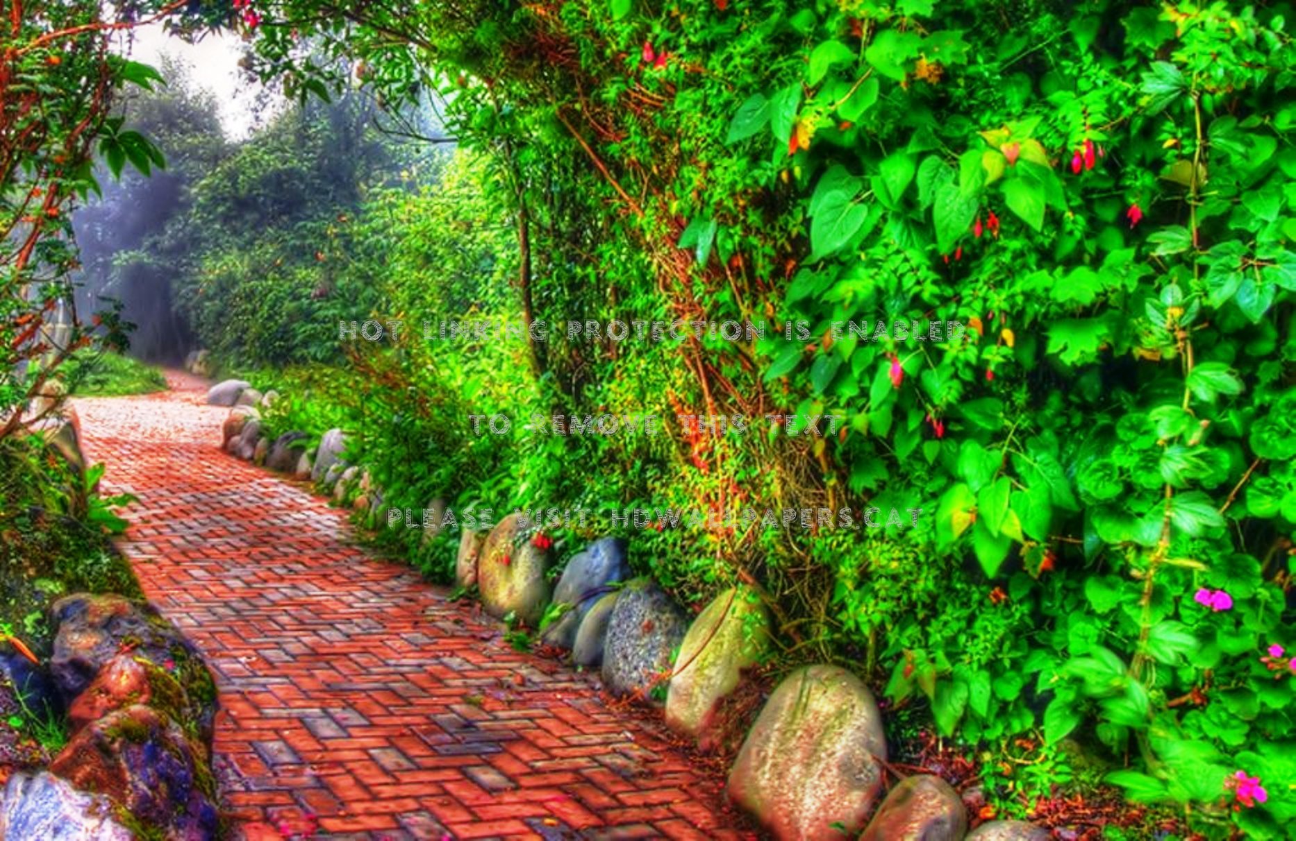 Garden Path And Flowerbeds In Beautiful Park - Botanical Garden , HD Wallpaper & Backgrounds