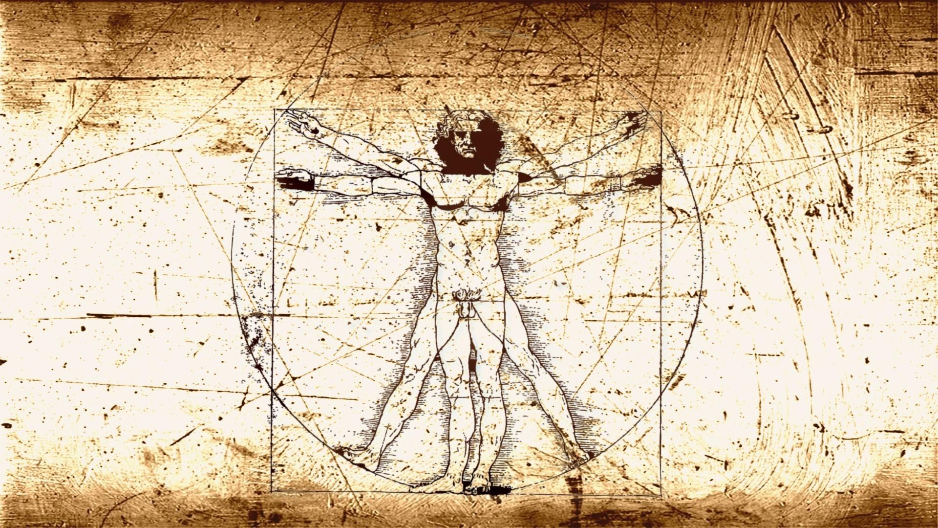 Proportions Of The Human Figure (the Vitruvian Man) , HD Wallpaper & Backgrounds
