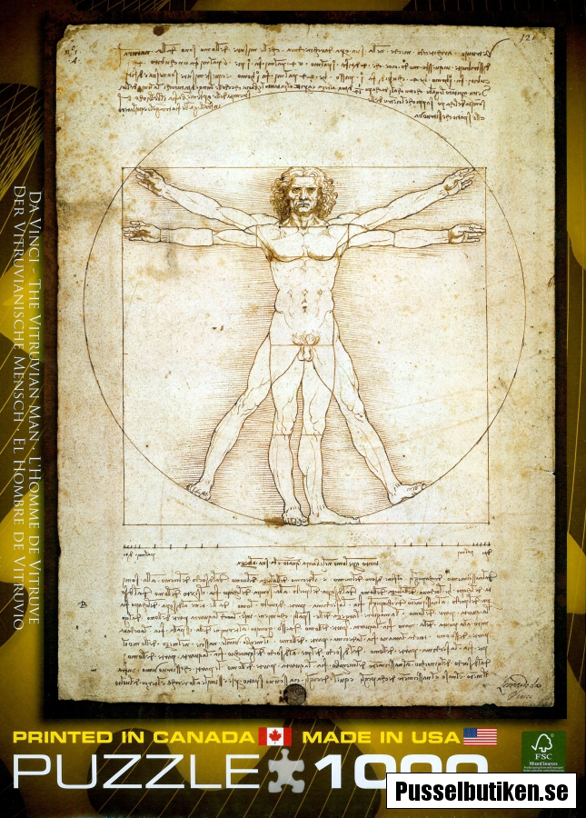 Da Vinci The Vitruvian Man Pusselbutiken - Leonardo Da Vinci Puzzle , HD Wallpaper & Backgrounds