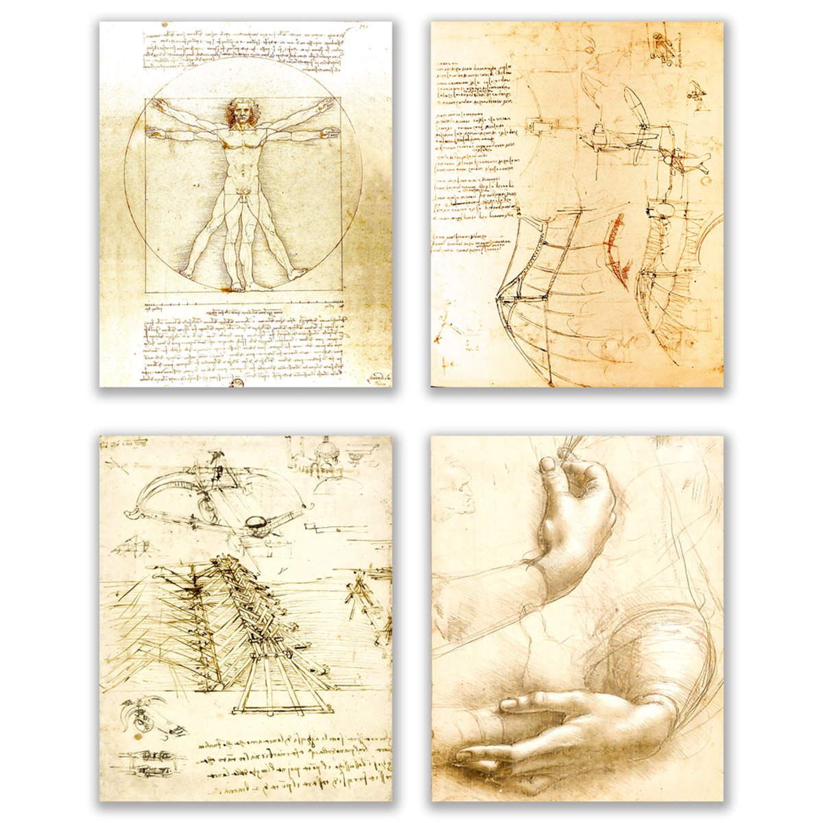 Leonardo Da Vinci Art Prints - Leonardo Da Vinci Scatches , HD Wallpaper & Backgrounds