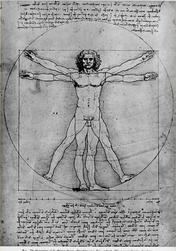 Vitruvian Man Iphone Wallpaper - Renaissance Art Leonardo Da Vinci , HD Wallpaper & Backgrounds