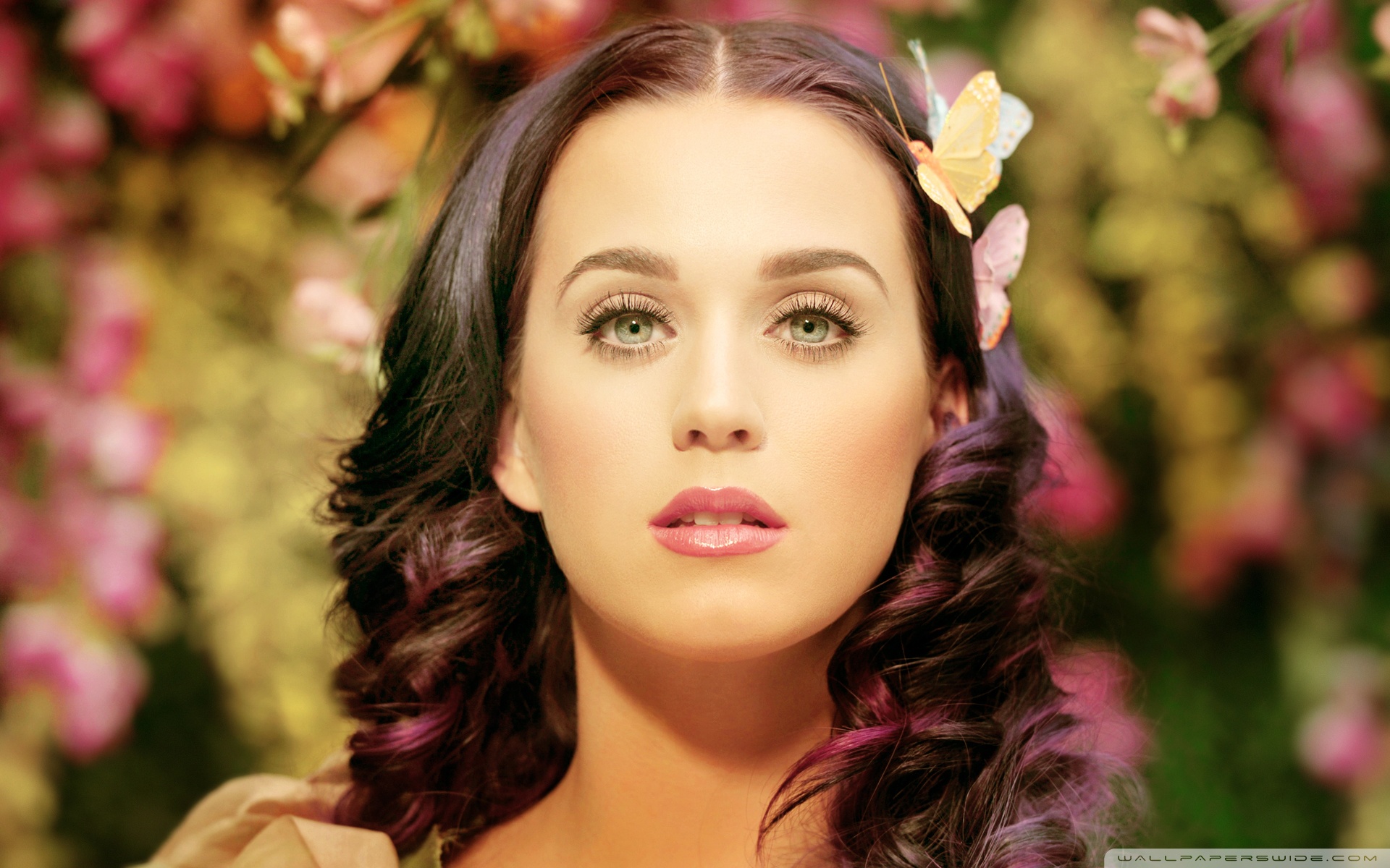 Katy Perry , HD Wallpaper & Backgrounds