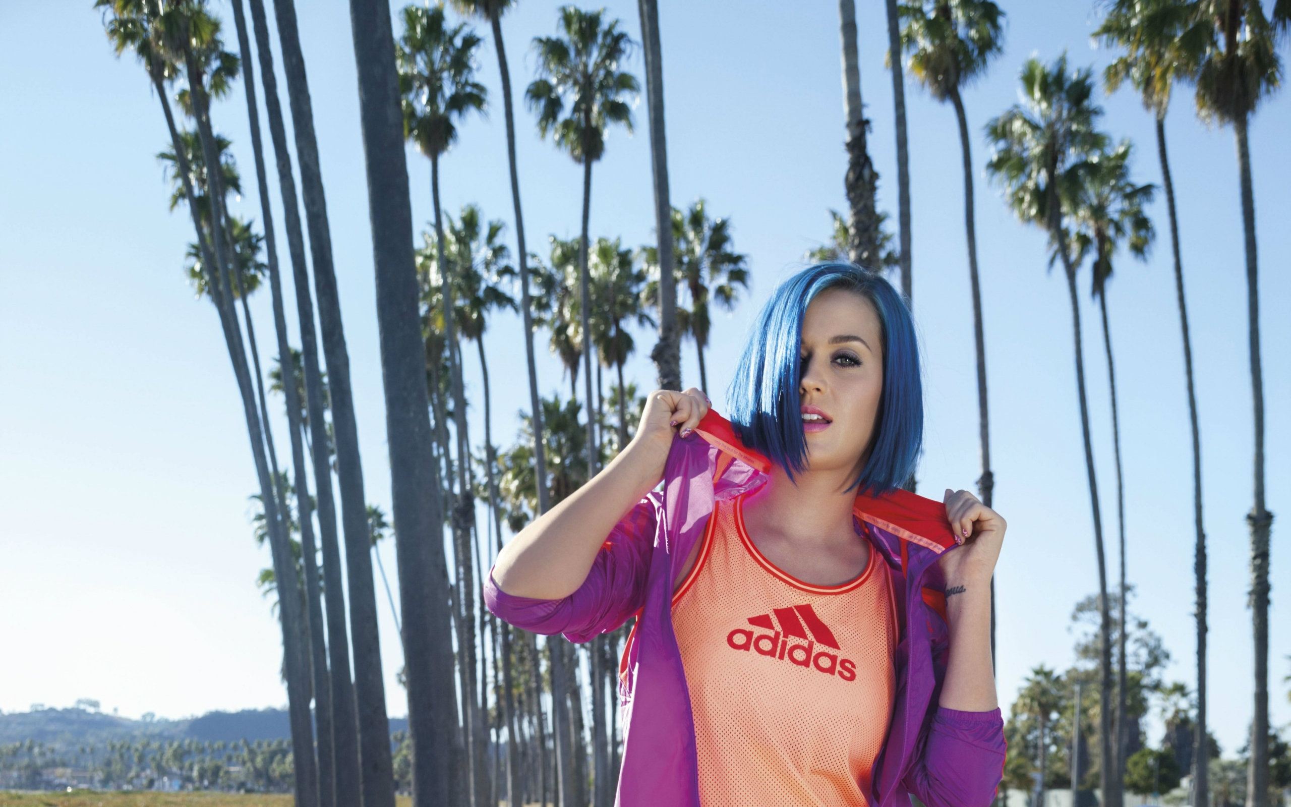 Santa Barbara California Katy Perry , HD Wallpaper & Backgrounds