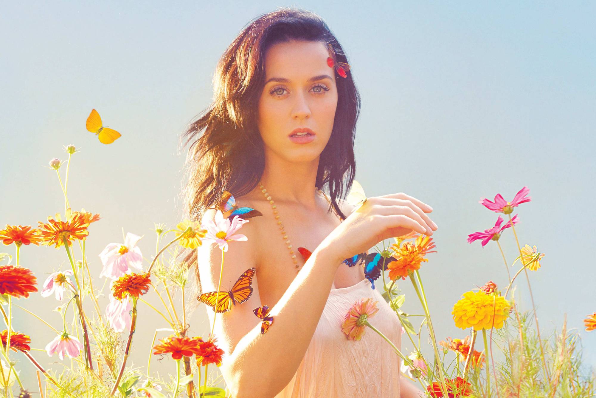 Katy Perry Wallpaper Pc - Katy Perry Prism , HD Wallpaper & Backgrounds