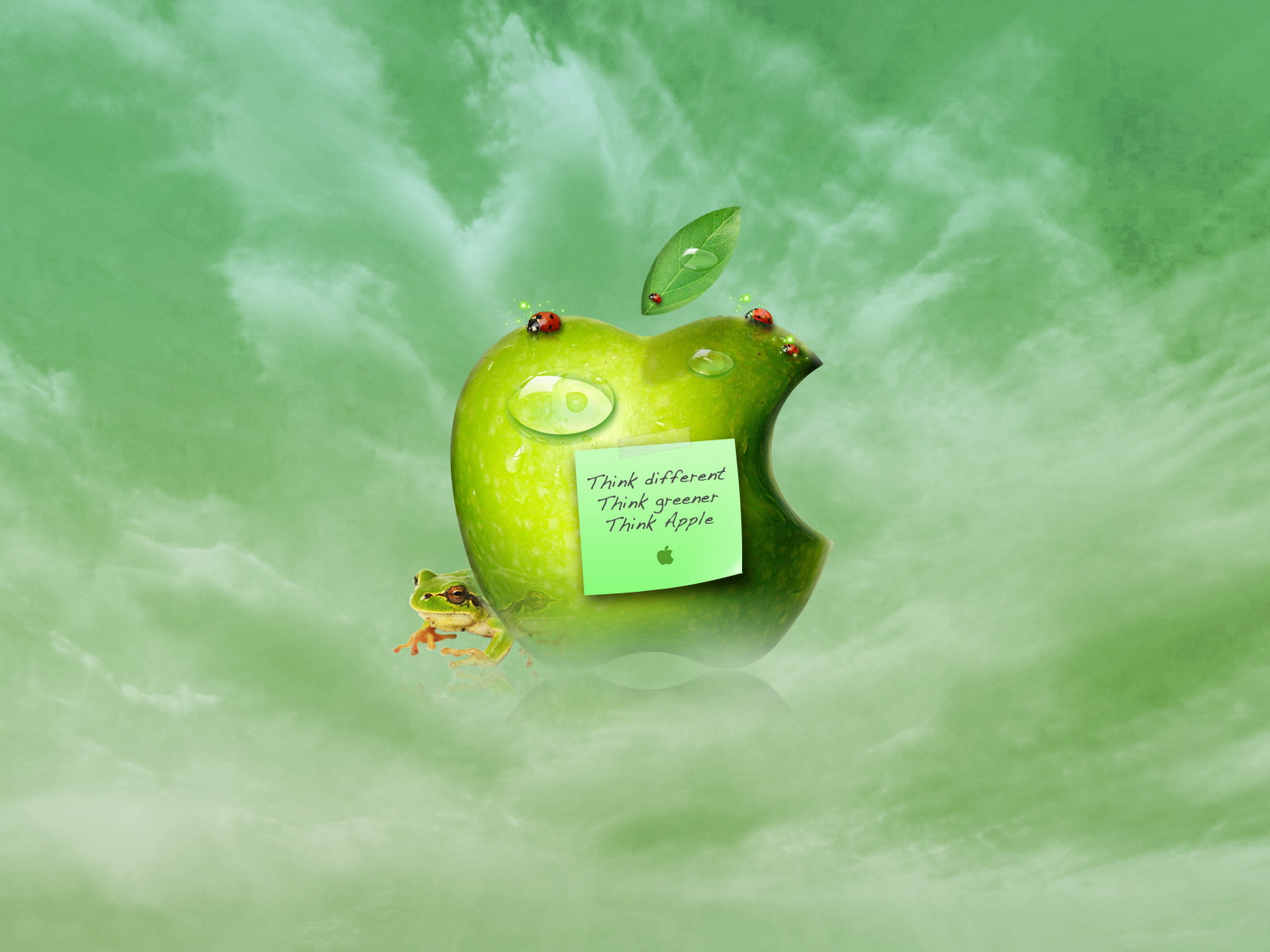 The Inscription On The Apple Sign Wallpapers And Images - Apple , HD Wallpaper & Backgrounds