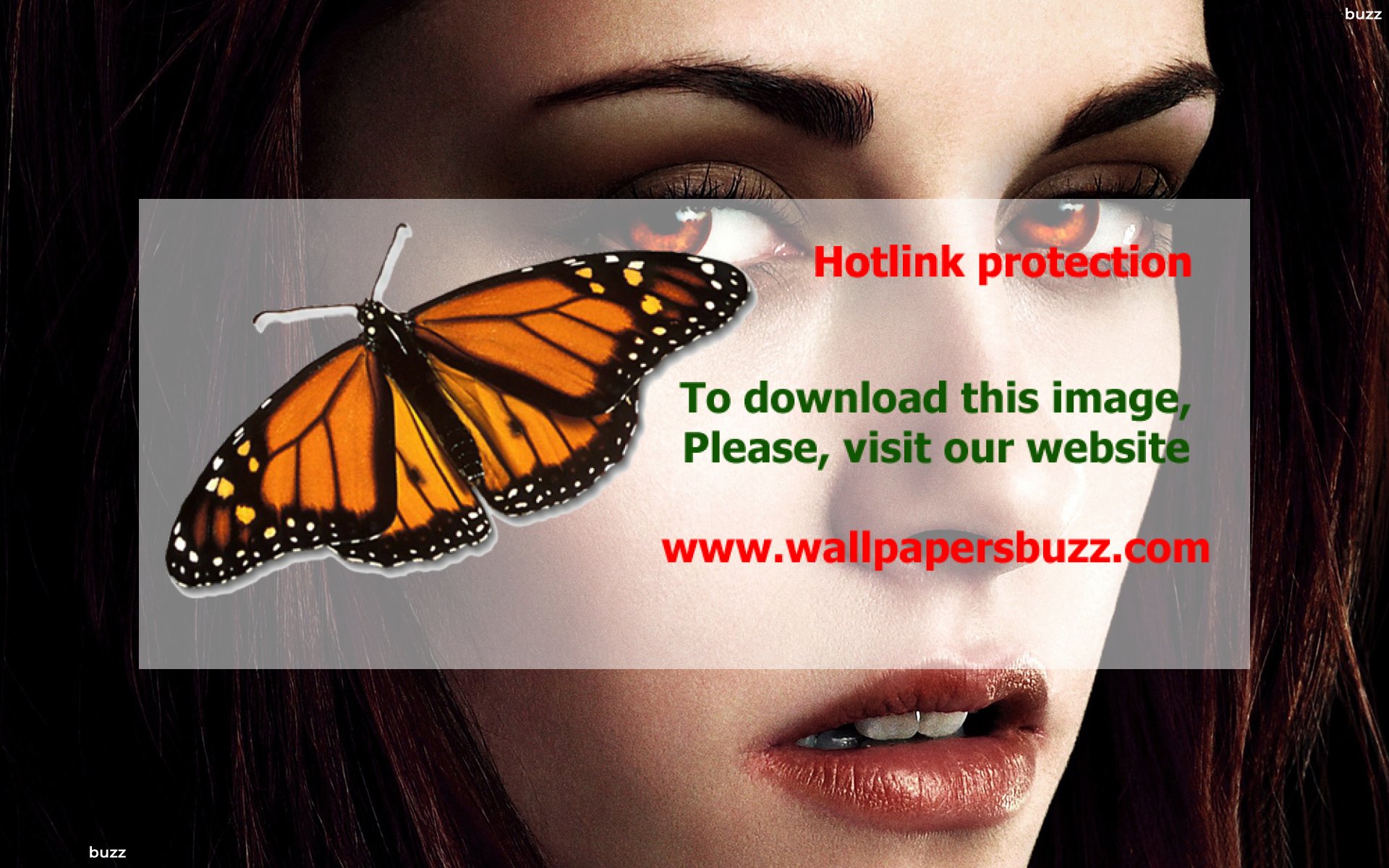 Vampire Bella - Twilight Kristen Stewart Vampire , HD Wallpaper & Backgrounds