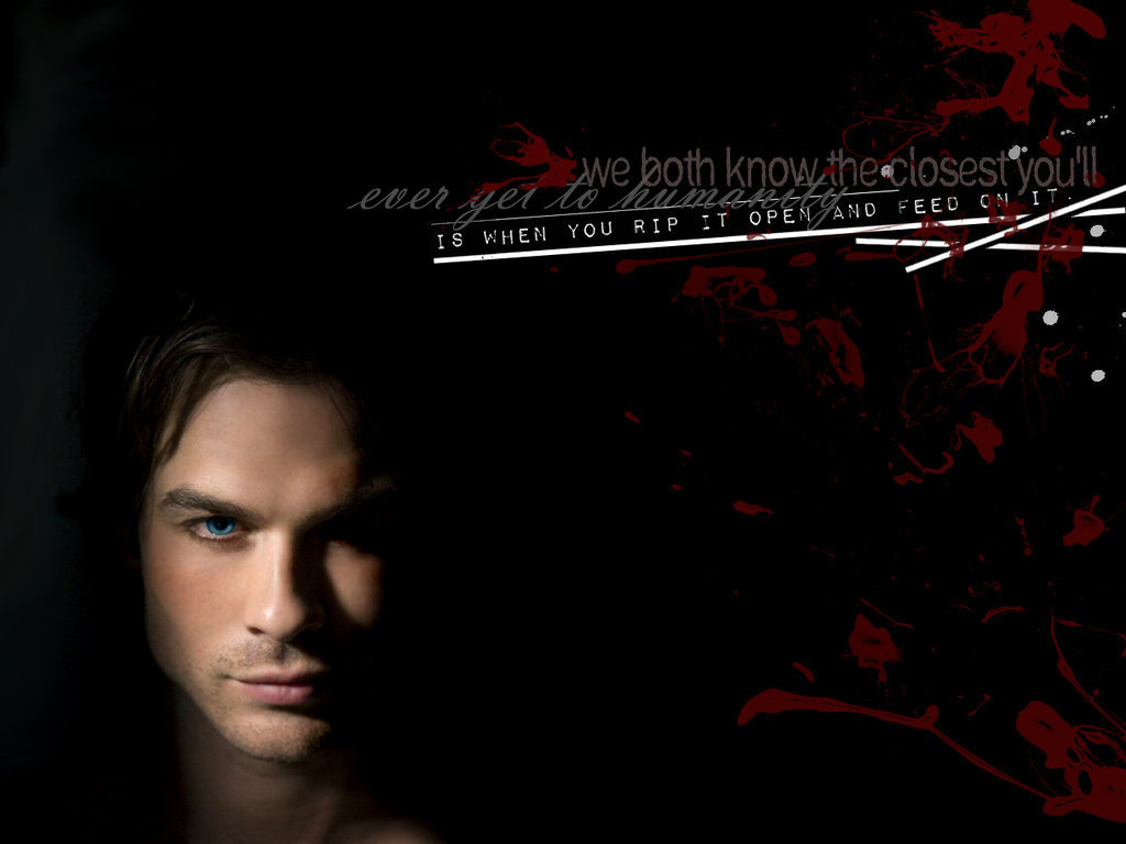 Damon Salvatore Images Damon Salvatore ✯ Hd Wallpaper - "the Vampire Diaries" (2009) , HD Wallpaper & Backgrounds