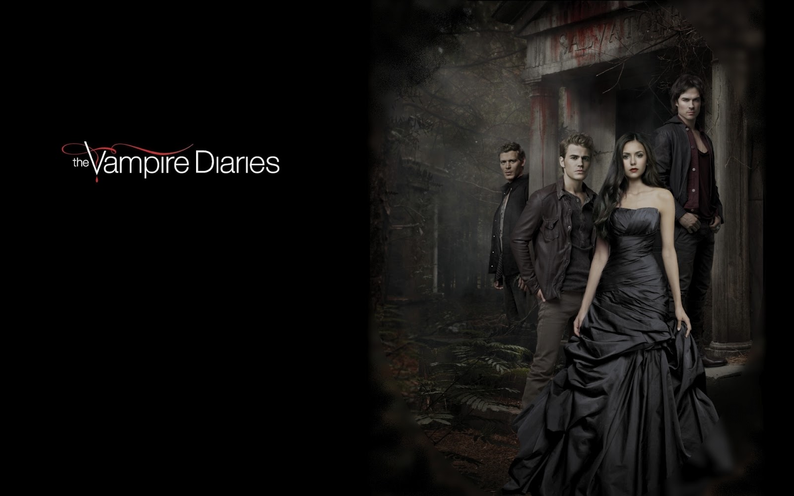 Vampire Diaries Wallpaper , HD Wallpaper & Backgrounds