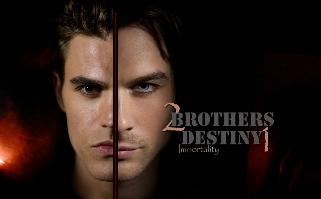 Vampire Diaries Damon Wallpaper - Vampire Diaries , HD Wallpaper & Backgrounds