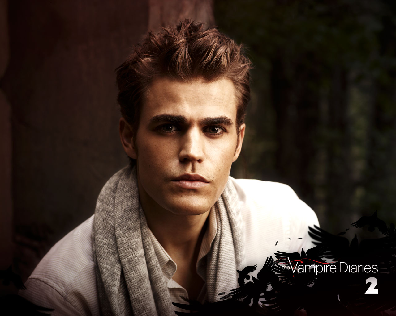 For Instructions, Click On The Tab That Matches Your - Stefan Salvatore , HD Wallpaper & Backgrounds