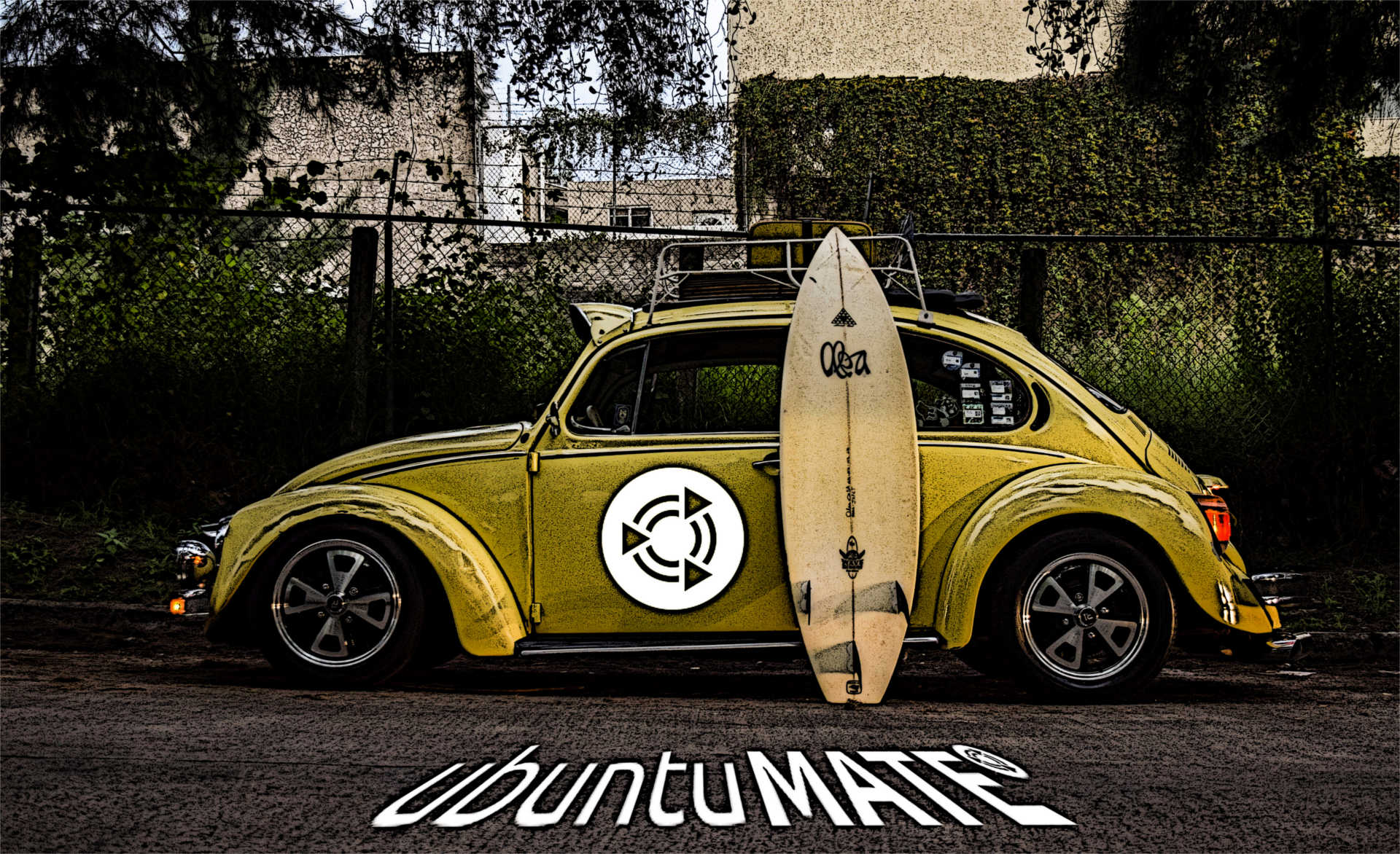 Wallpaper With Um Totem - Volkswagen Beetle , HD Wallpaper & Backgrounds