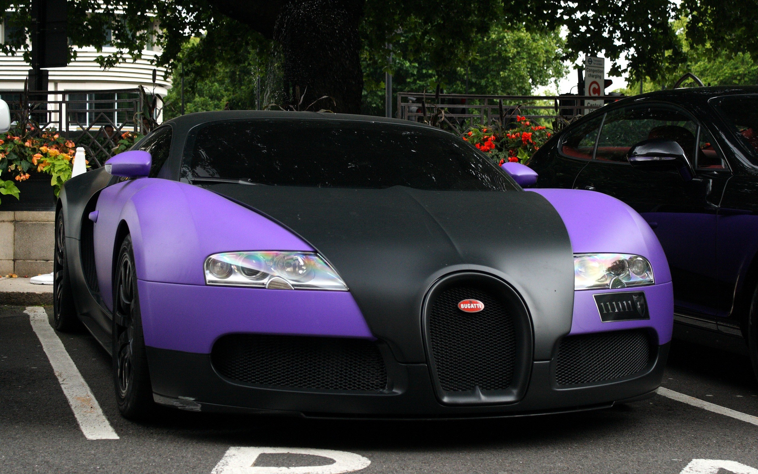 Bugatti Veyron Purple And Black , HD Wallpaper & Backgrounds
