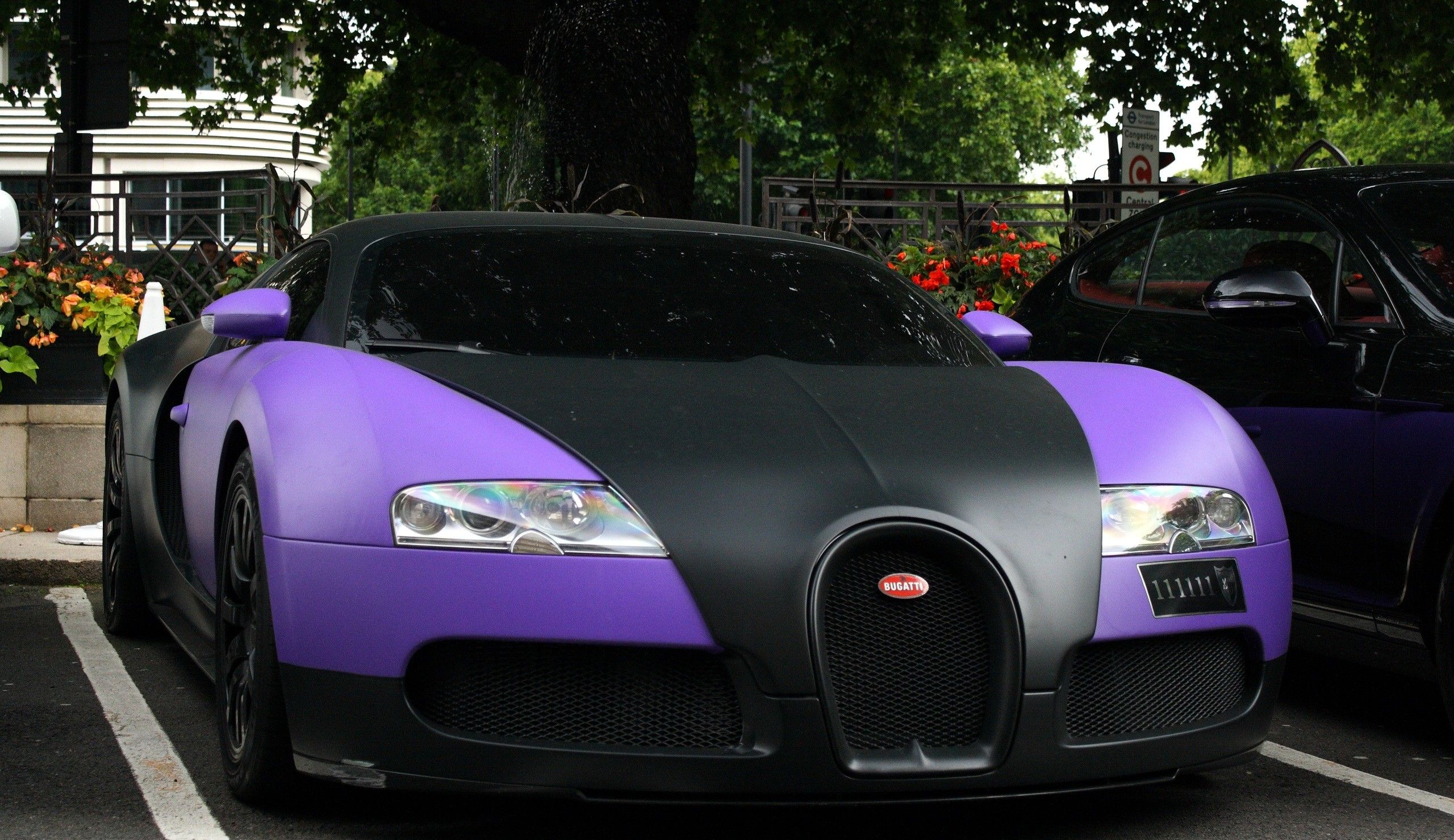 Bugatti Veyron Hd Wallpaper - Bugatti Car In Purple , HD Wallpaper & Backgrounds