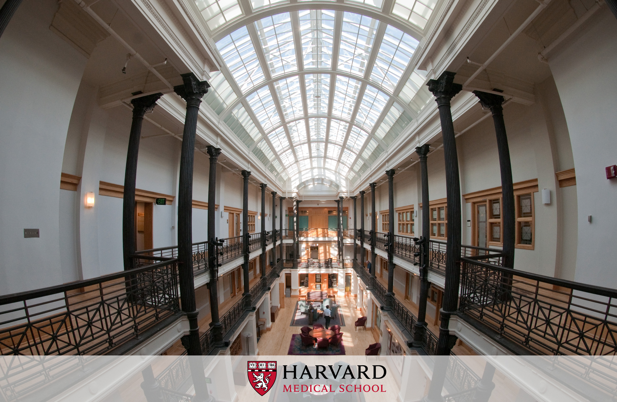 Desktop Wallpapers - Harvard Medical School Hall , HD Wallpaper & Backgrounds