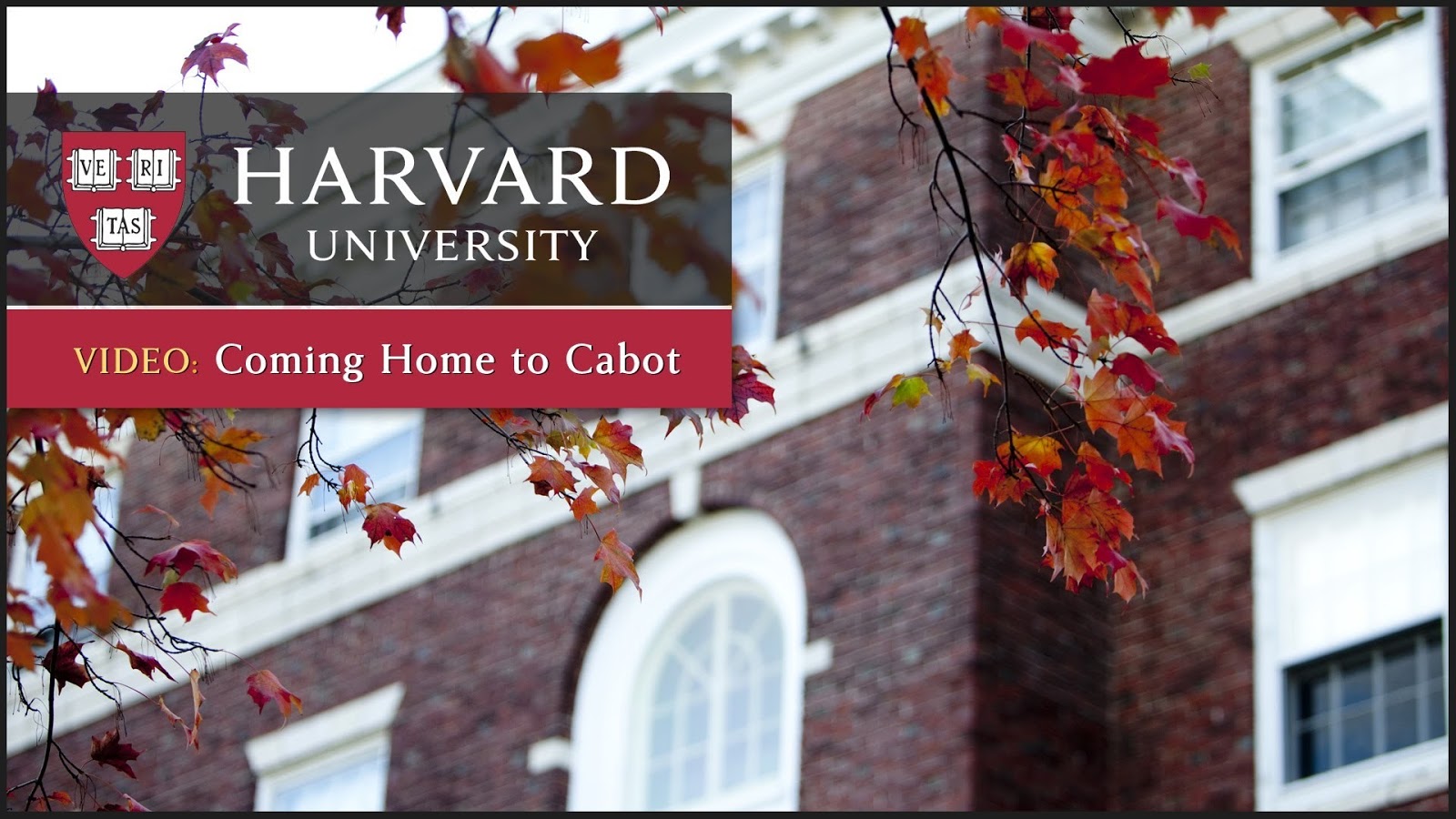 62 Harvard University Wallpapers Are Available For - Harvard Hd , HD Wallpaper & Backgrounds