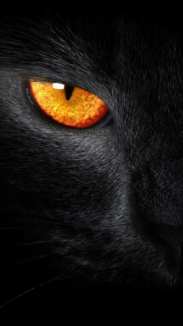 Black Iphone Wallpaper Hd - Black Panther Animal Wallpaper Iphone , HD Wallpaper & Backgrounds