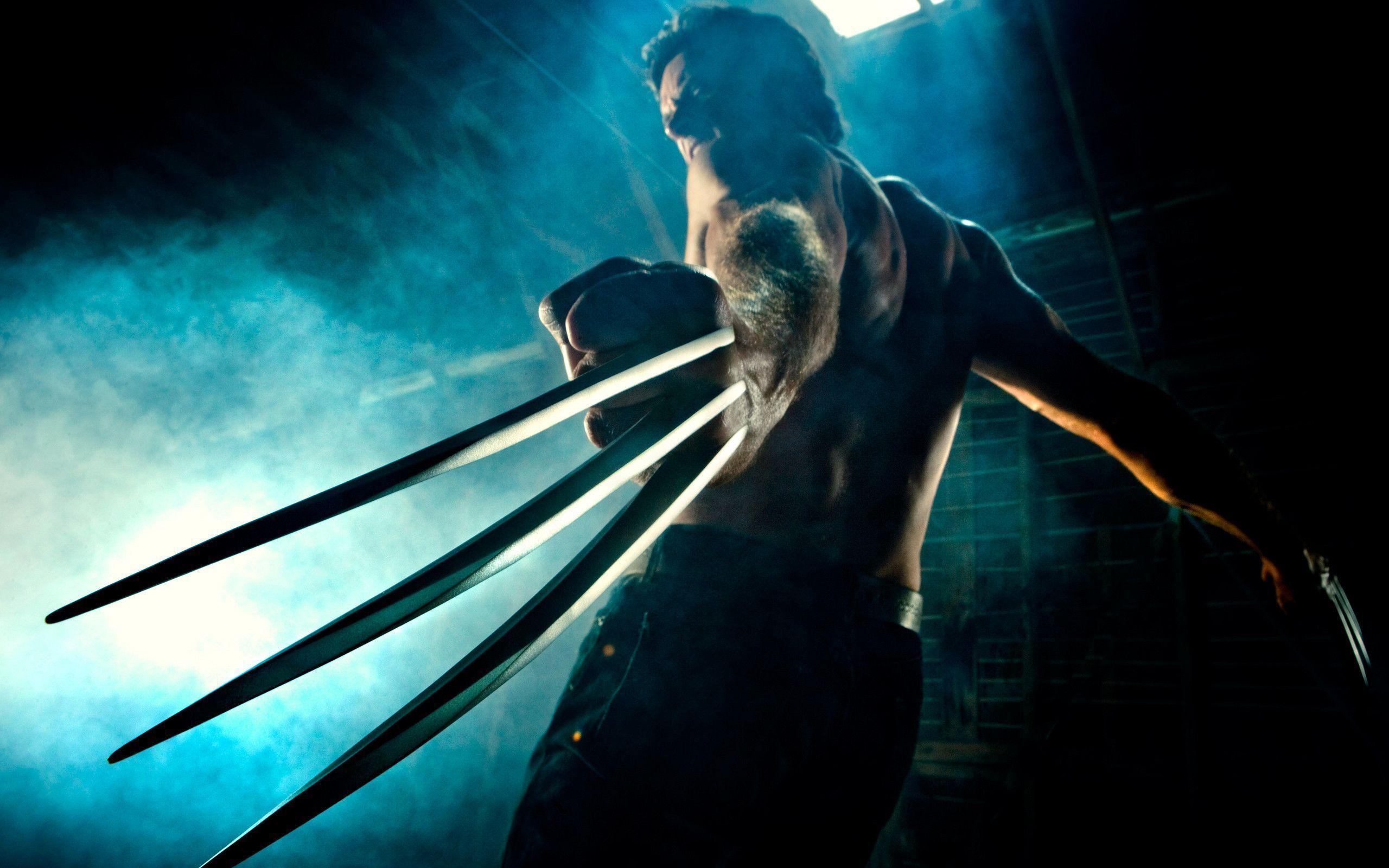 Full Hd Wallpaper Search - Wolverine Wallpaper For Desktop , HD Wallpaper & Backgrounds