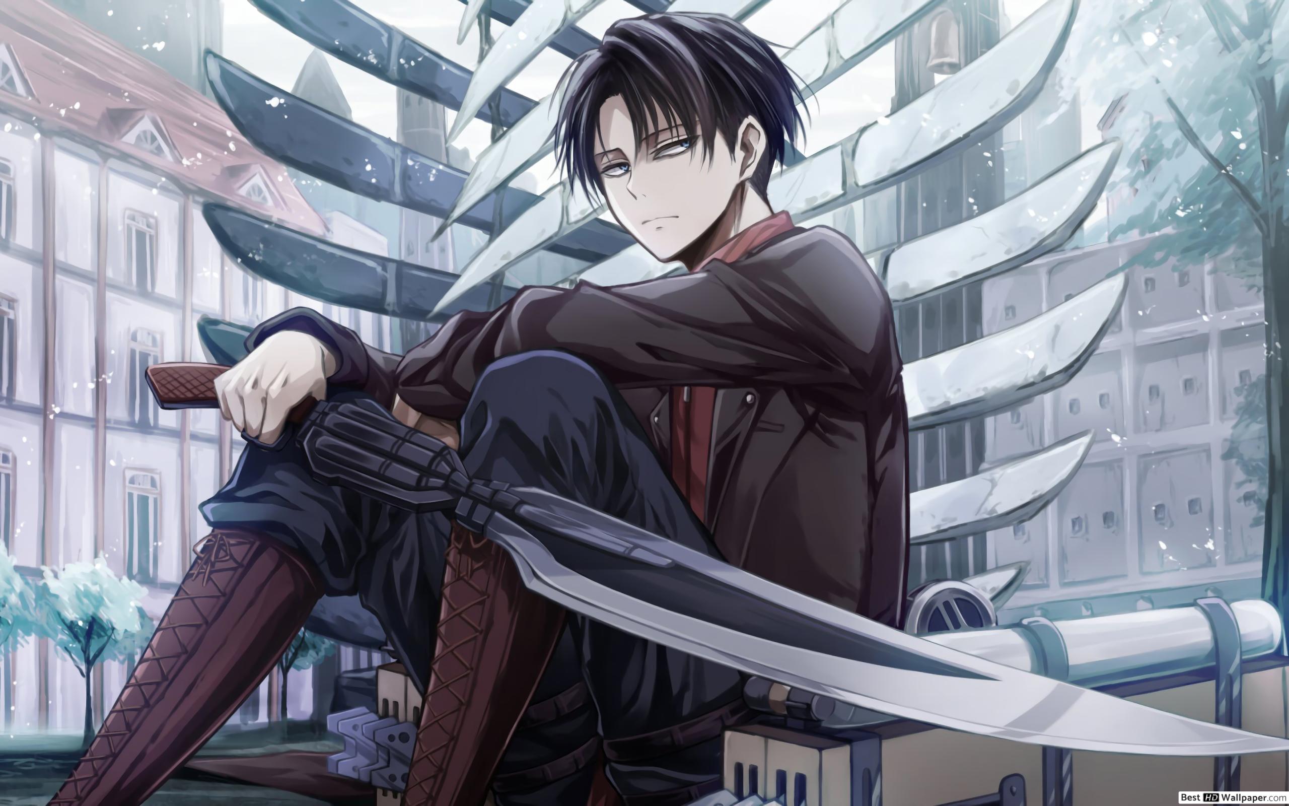 Levi Ackerman 4k , HD Wallpaper & Backgrounds