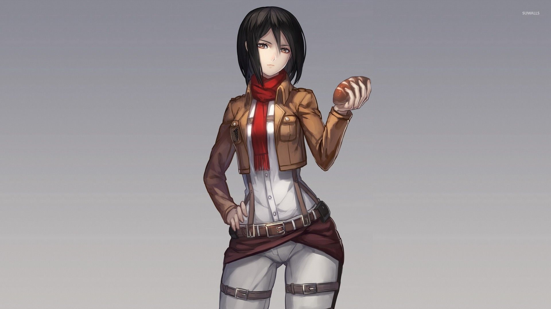 Attack On Titan [10] Wallpaper - Attack On Titan Wallpapers Mikasa , HD Wallpaper & Backgrounds