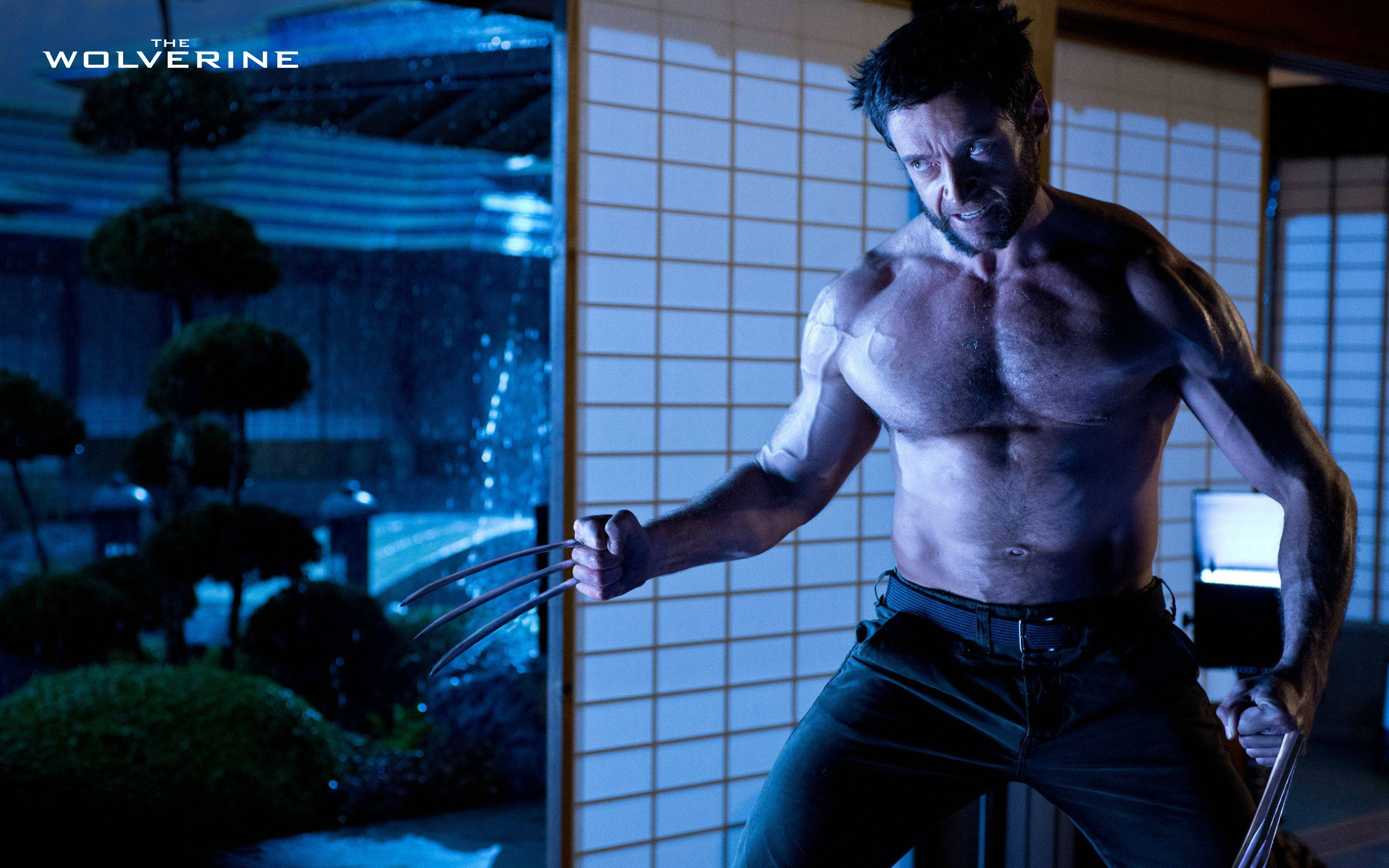 Hugh Jackman In The Wolverine Wallpaper - Wolverine Hugh Jackman Angry , HD Wallpaper & Backgrounds