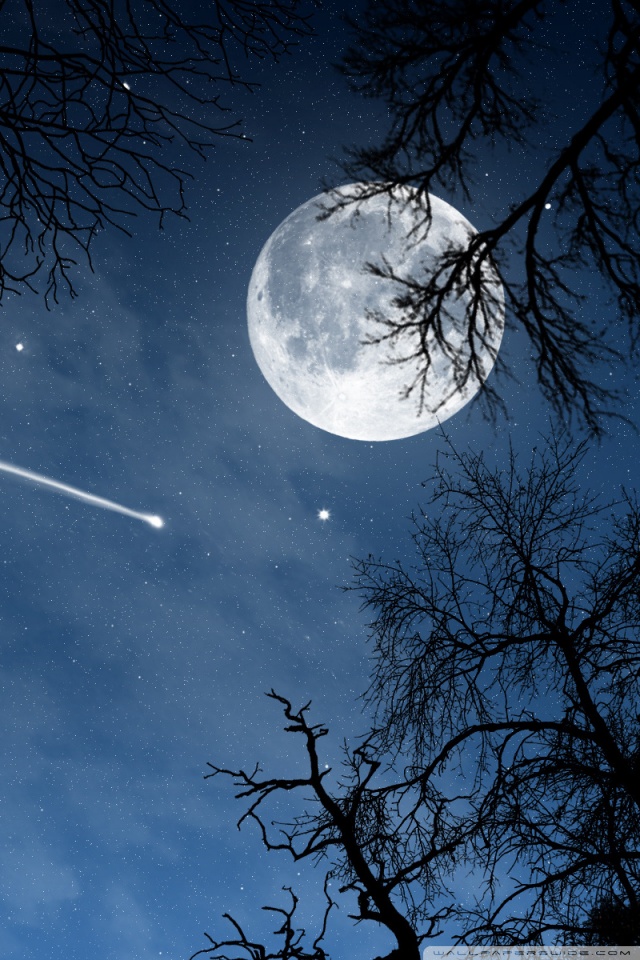 Mobile Hvga - Moon And Shooting Star , HD Wallpaper & Backgrounds