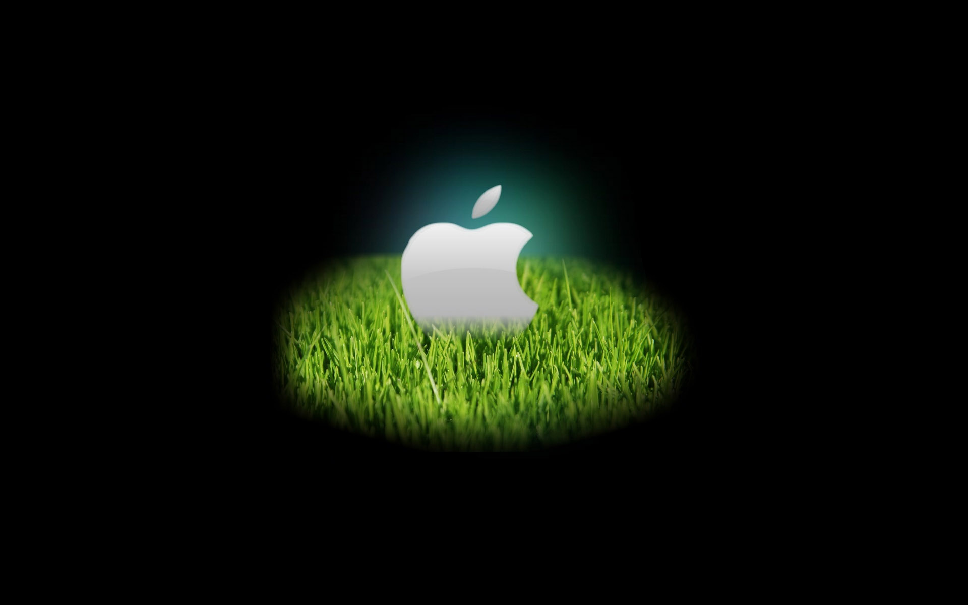 Hd Apple Wallpaper - Phone Mobile Wallpaper Download , HD Wallpaper & Backgrounds