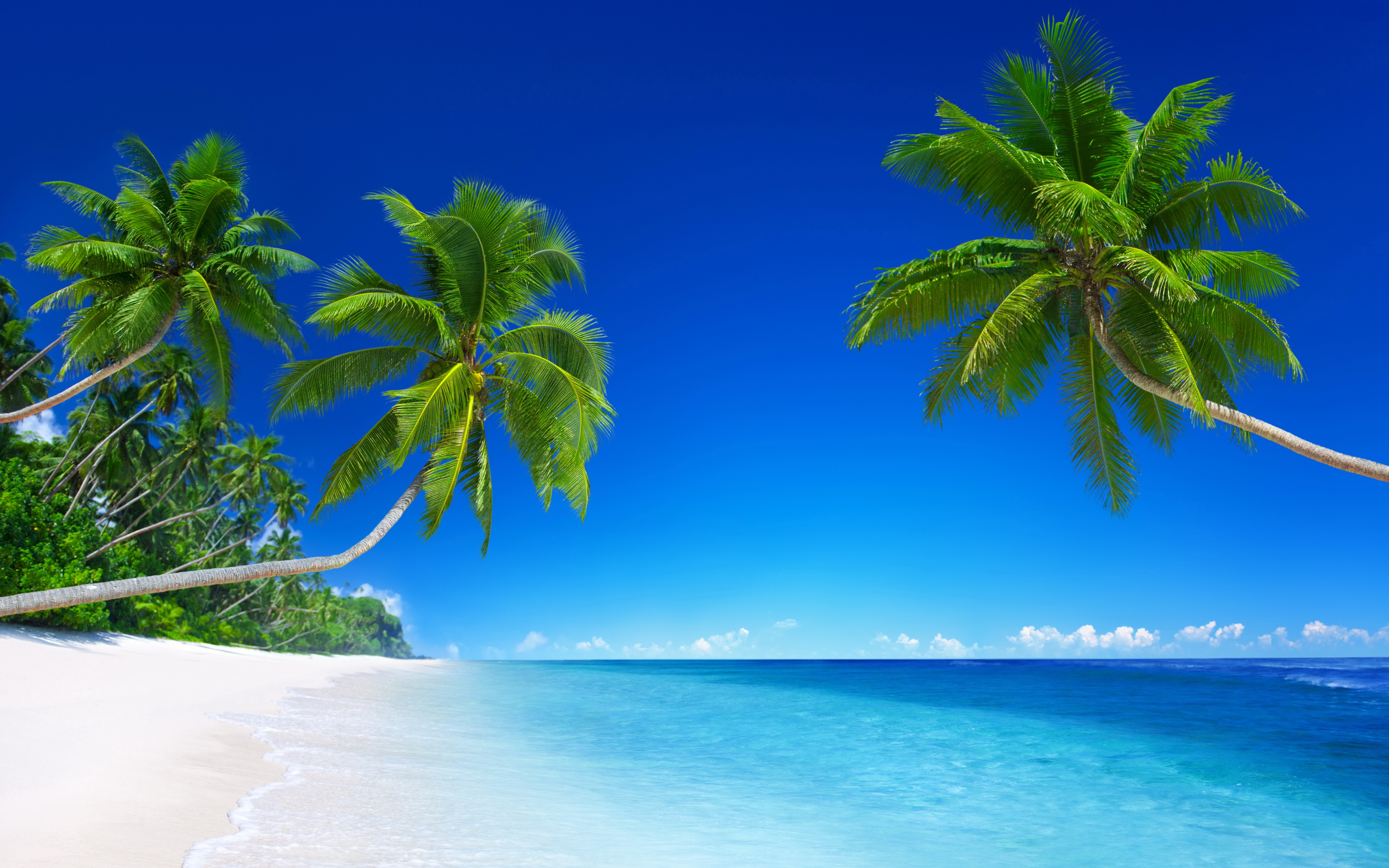 Tropical Beach Paradise 5k - Tropical Beach , HD Wallpaper & Backgrounds