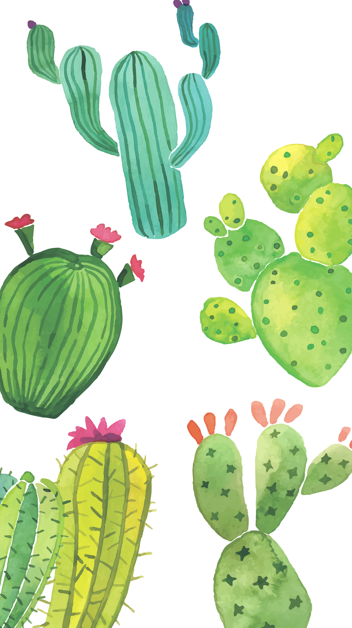 Cute Cactus Wallpaper - Fondos De Pantalla De Cactus , HD Wallpaper & Backgrounds