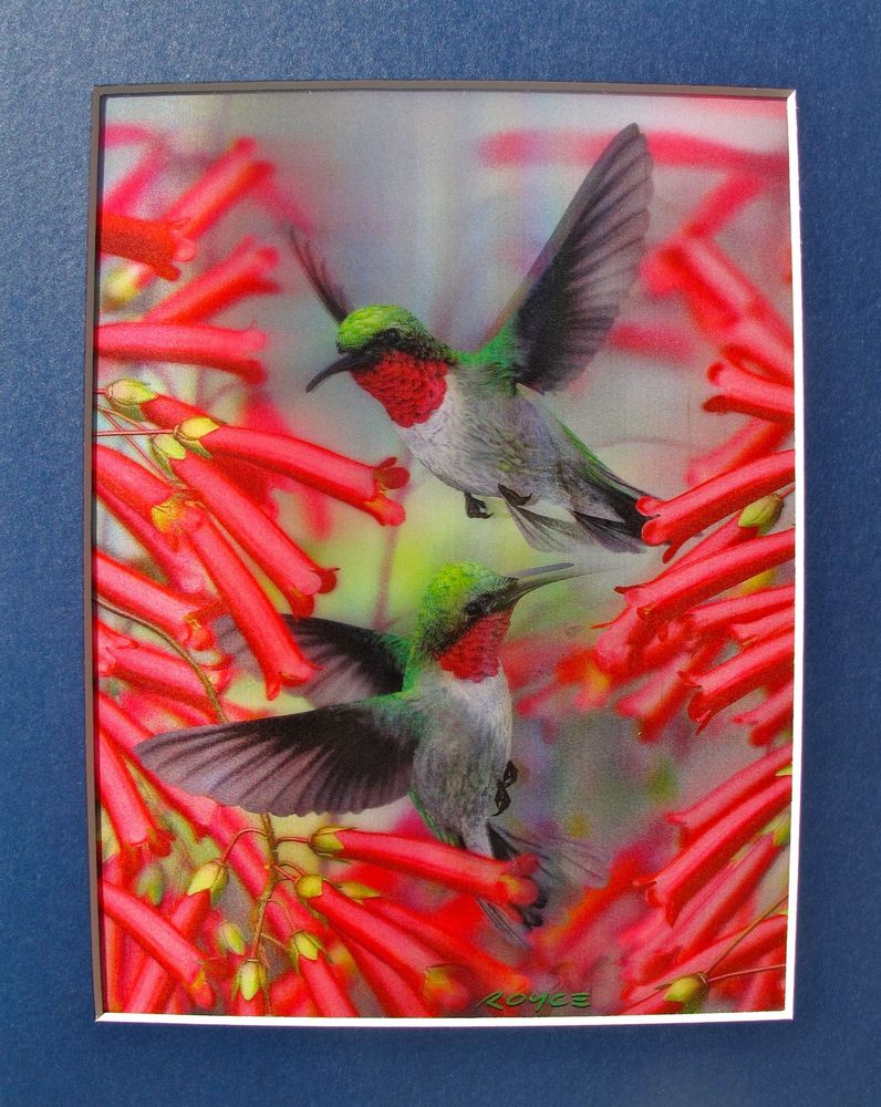 Hummingbirds Color Lenticular D Hologram Art Amazing - Ruby-throated Hummingbird , HD Wallpaper & Backgrounds