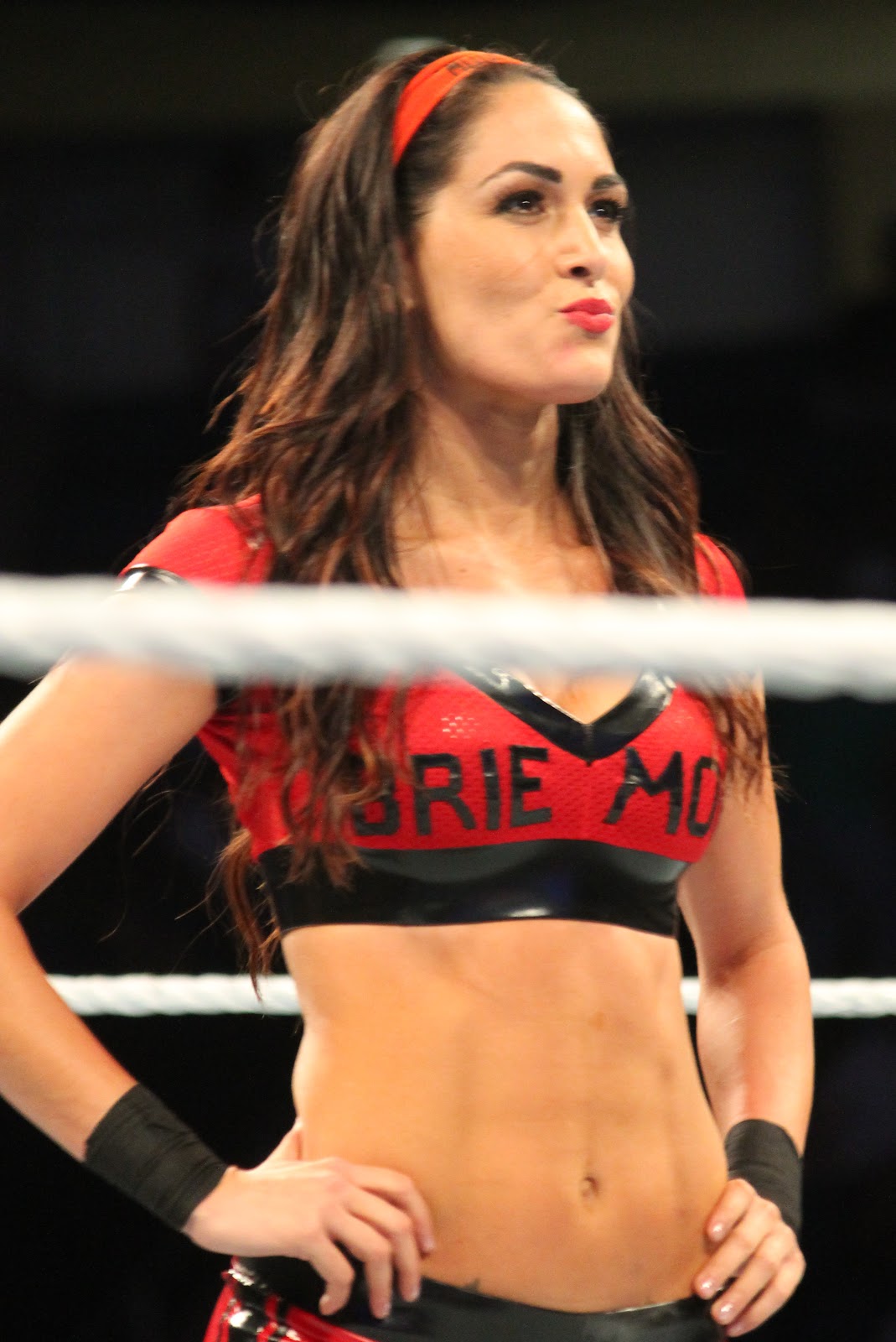 Here Are Some Pics Of Brie - Brie Bella , HD Wallpaper & Backgrounds