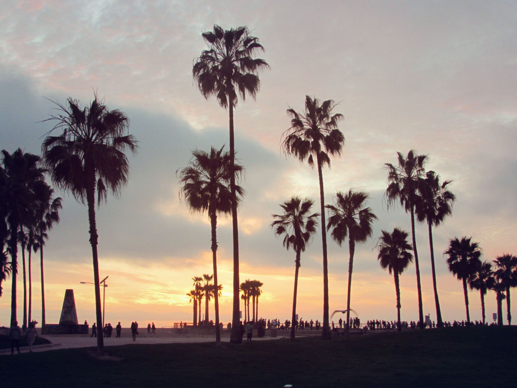 Afbeeldingsresultaat Voor Tumblr Achtergrond Ipad - Venice Beach Sunset , HD Wallpaper & Backgrounds