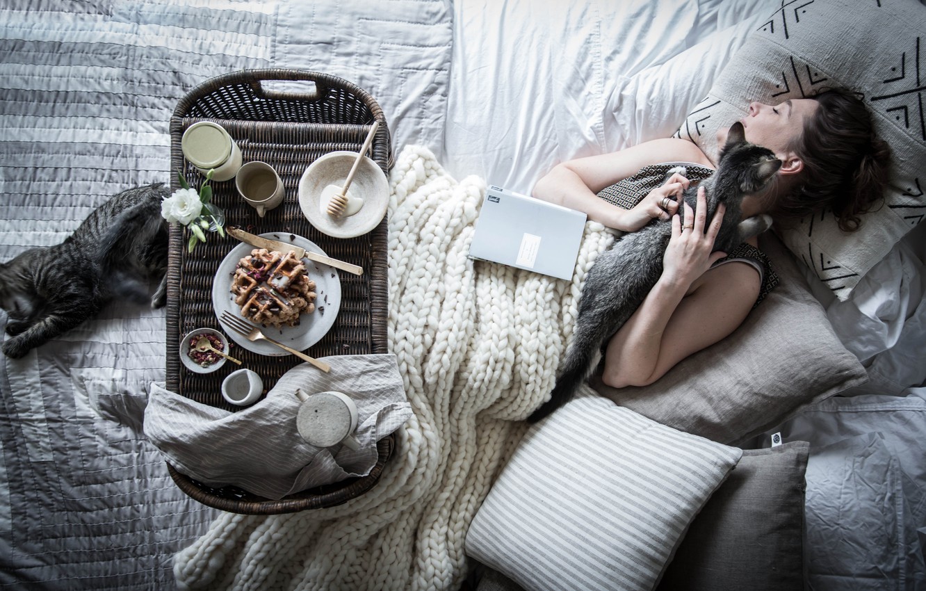 Photo Wallpaper Girl, Bad, Cats, Breakfast - Breakfast In Bed , HD Wallpaper & Backgrounds