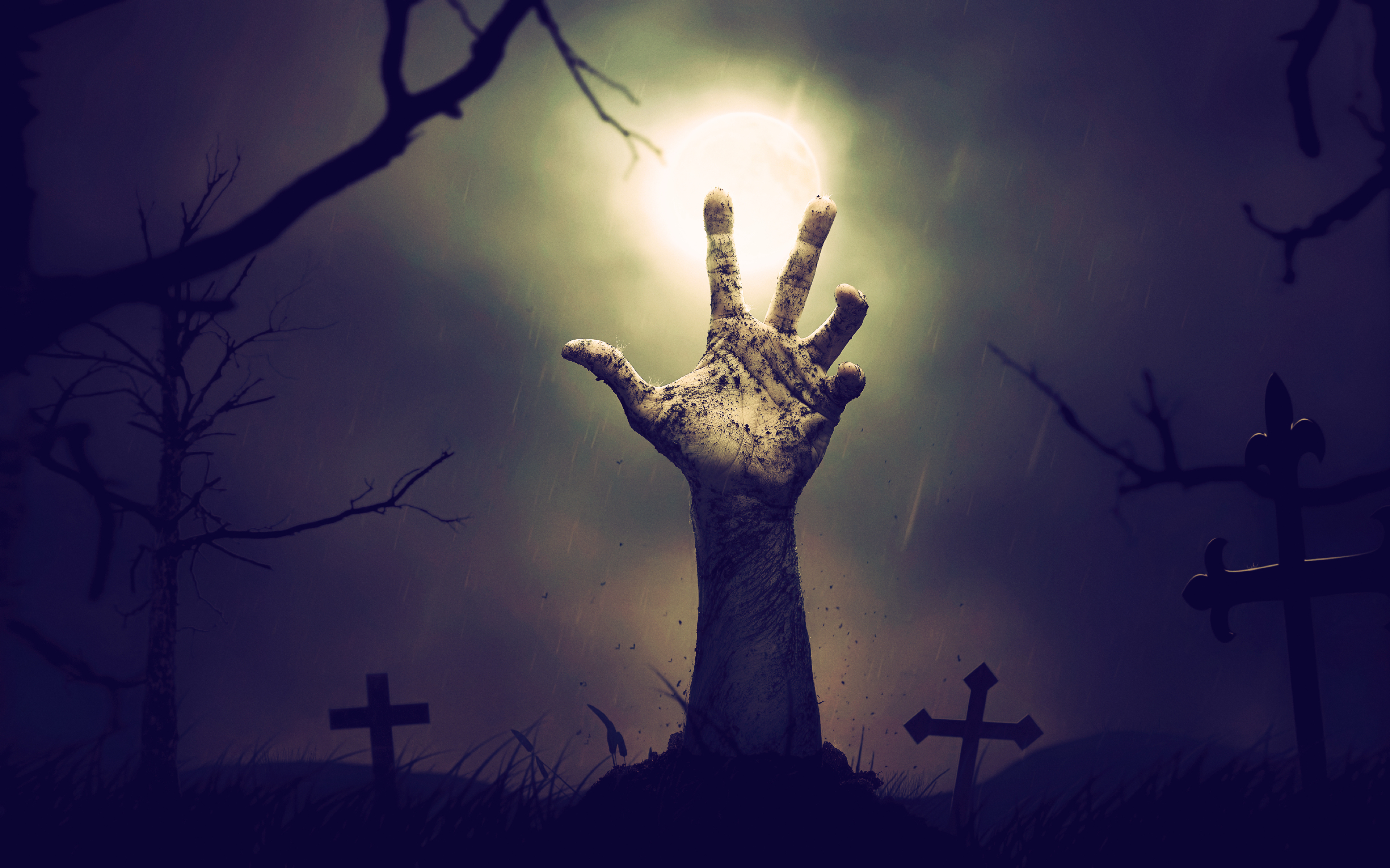 Download Zombie Hand From Cemetery Resolution, Hd - Halloween Hand Coming Out Of Ground , HD Wallpaper & Backgrounds