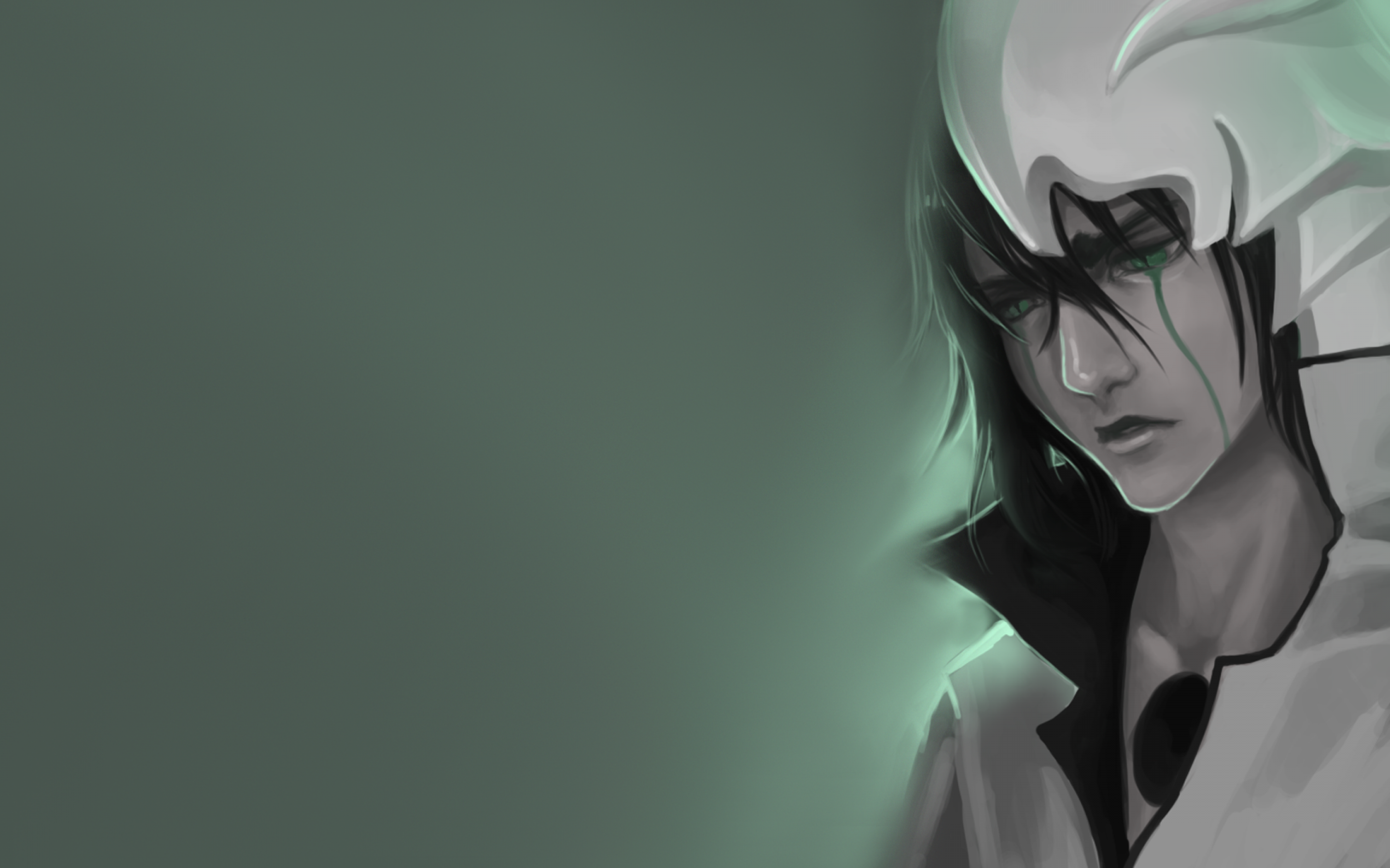 Ulquiorra Cifer, Bleach, Hollow, Mask, Espada , HD Wallpaper & Backgrounds