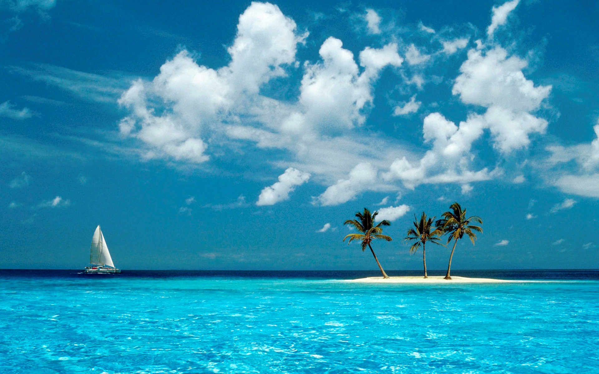 Coconut Trees Wallpapers - Windows Xp Wallpaper Island , HD Wallpaper & Backgrounds