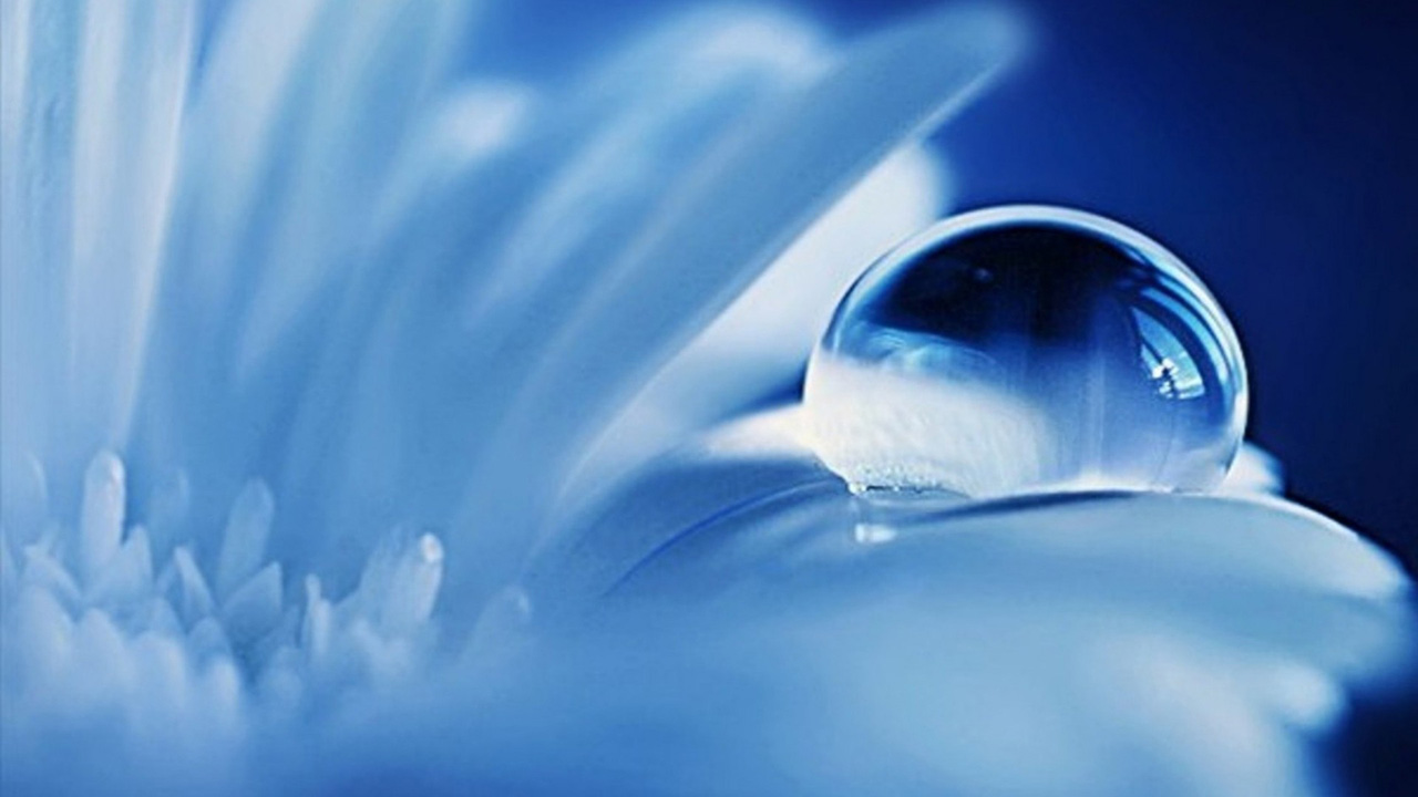 3d Water Wallpaper Desktop Group - Water Drop On Flower , HD Wallpaper & Backgrounds