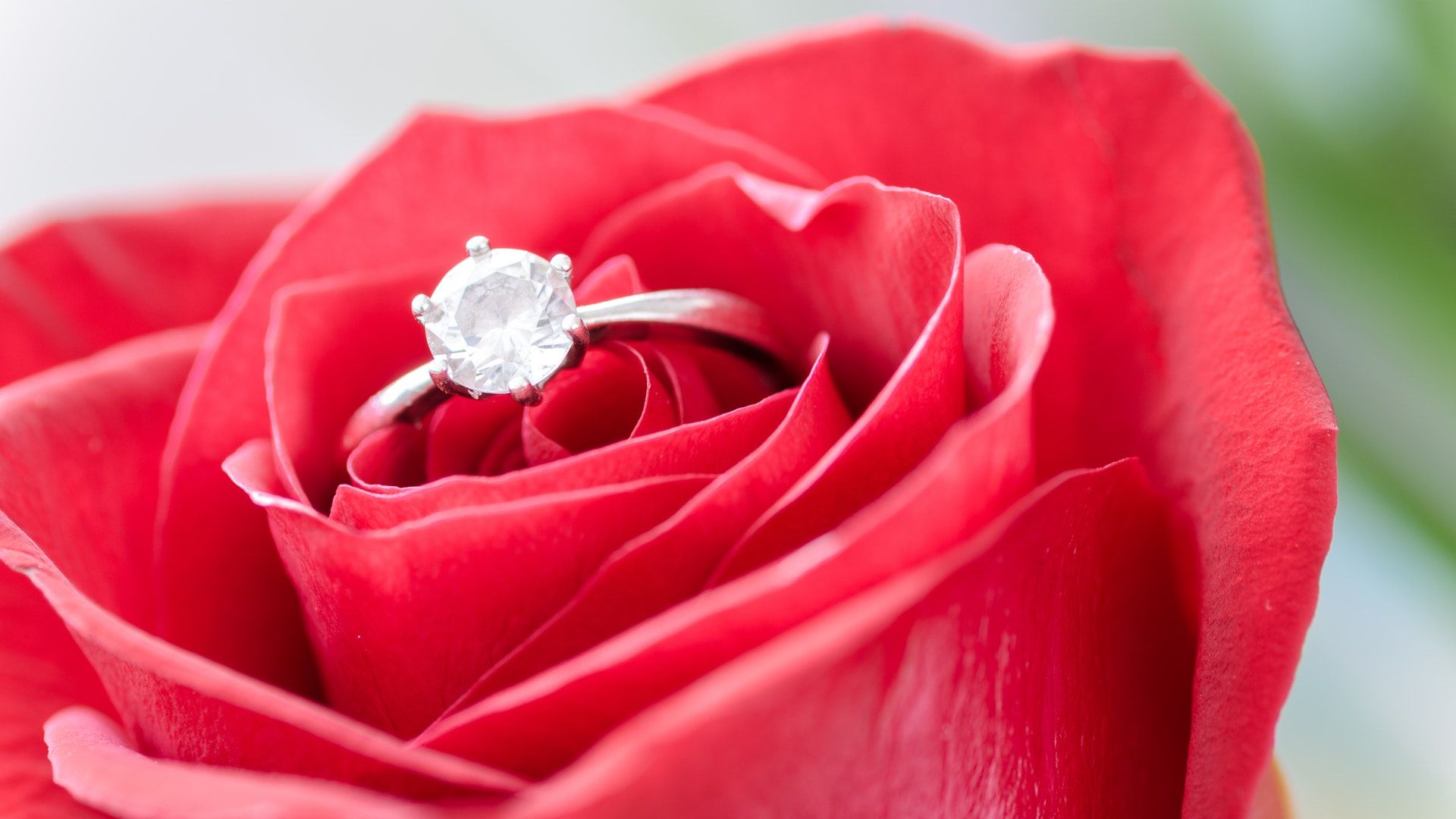 Rose With Diamond Ring - Romantic Red Rose Love , HD Wallpaper & Backgrounds